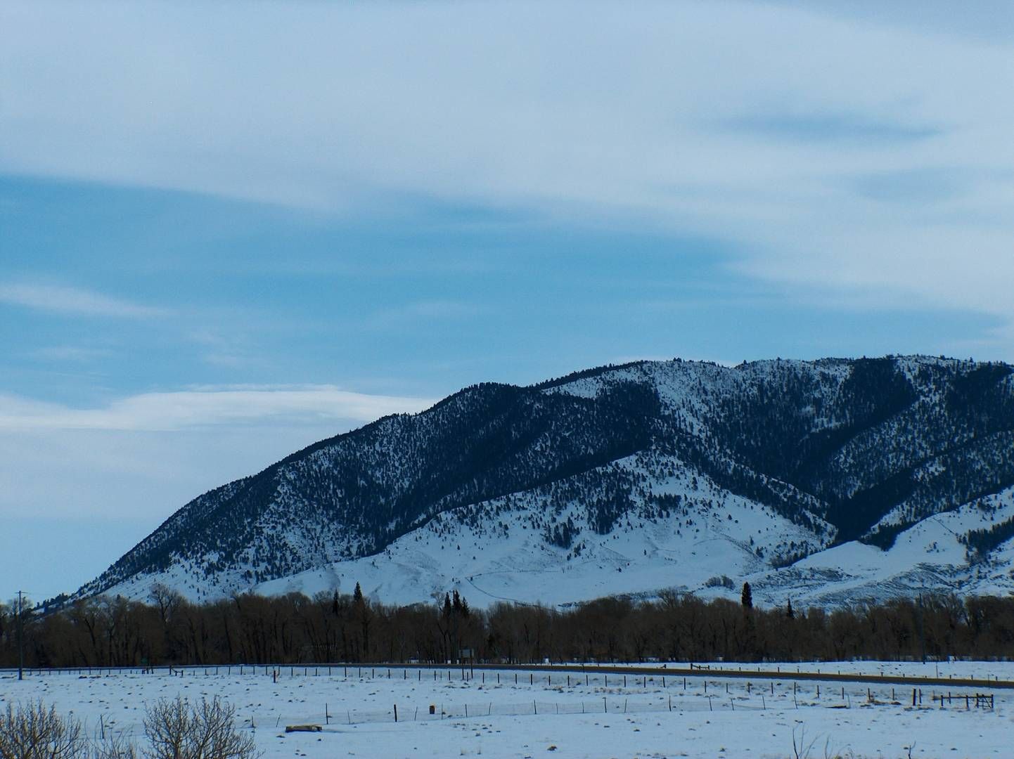 5 acres in Albany County, Wyoming