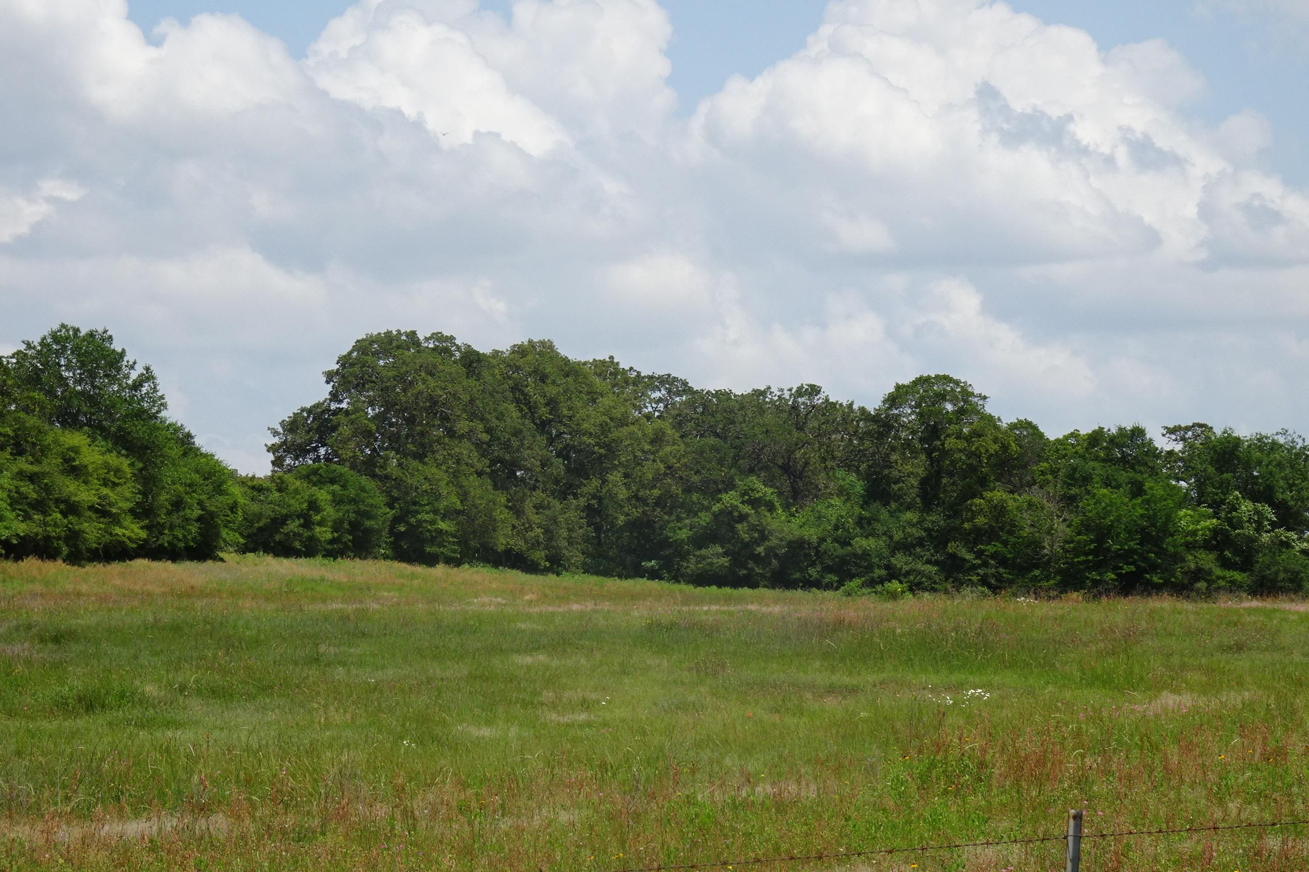 57 acres in Limestone County, Texas