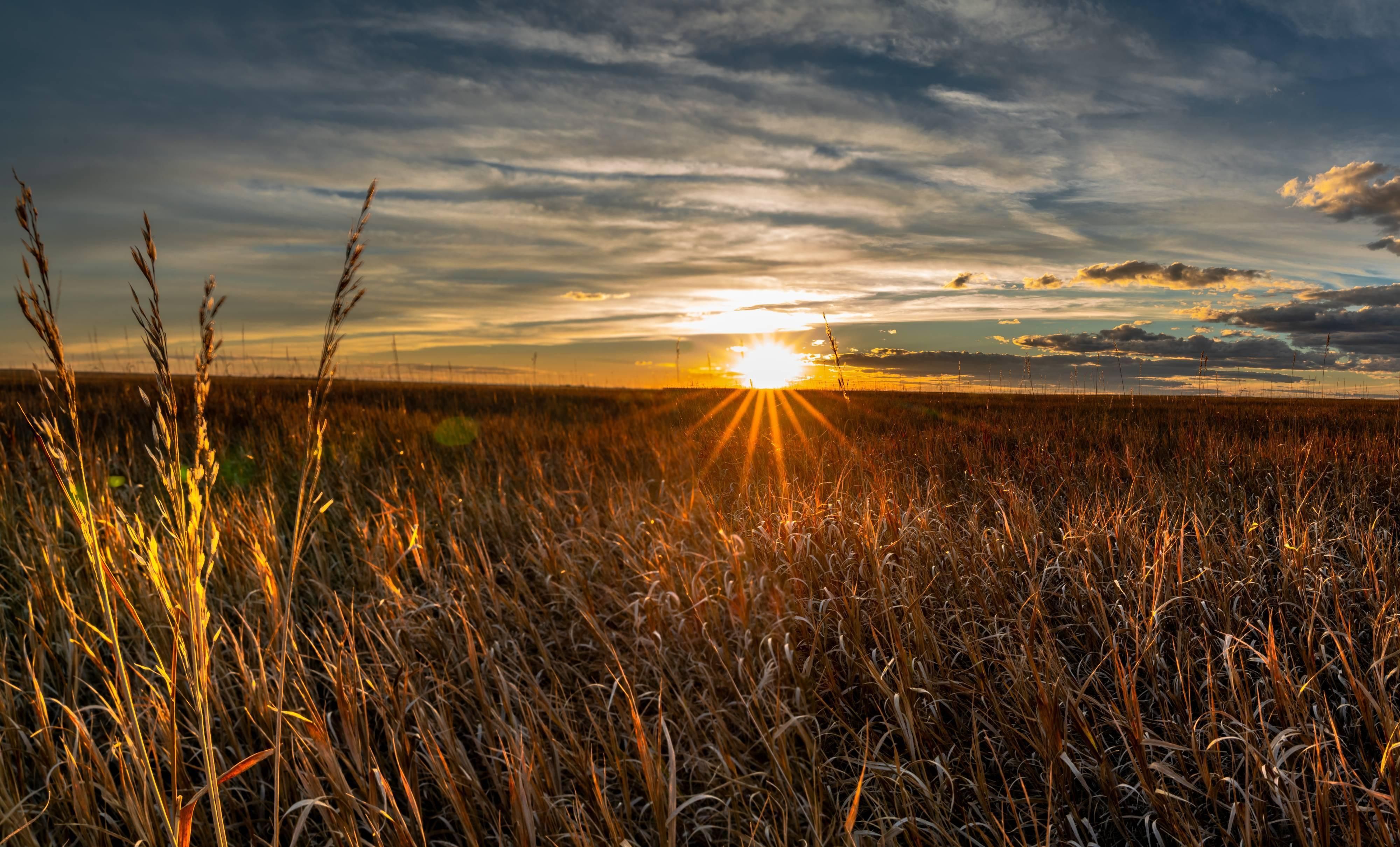 1,178 acres in Goshen County, Wyoming