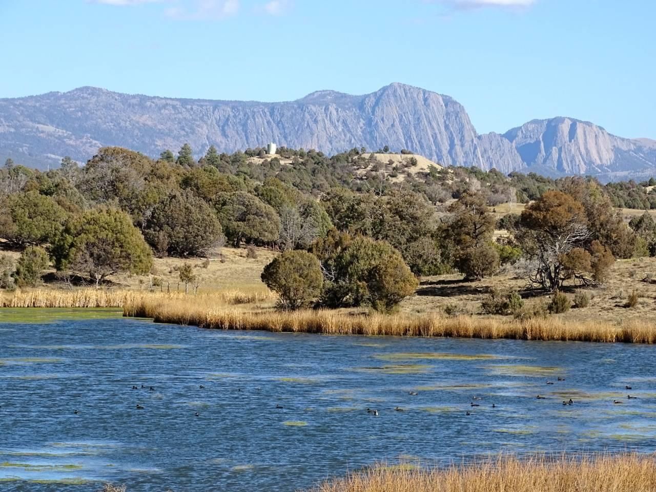 1 374 Acres In Rio Arriba County New Mexico