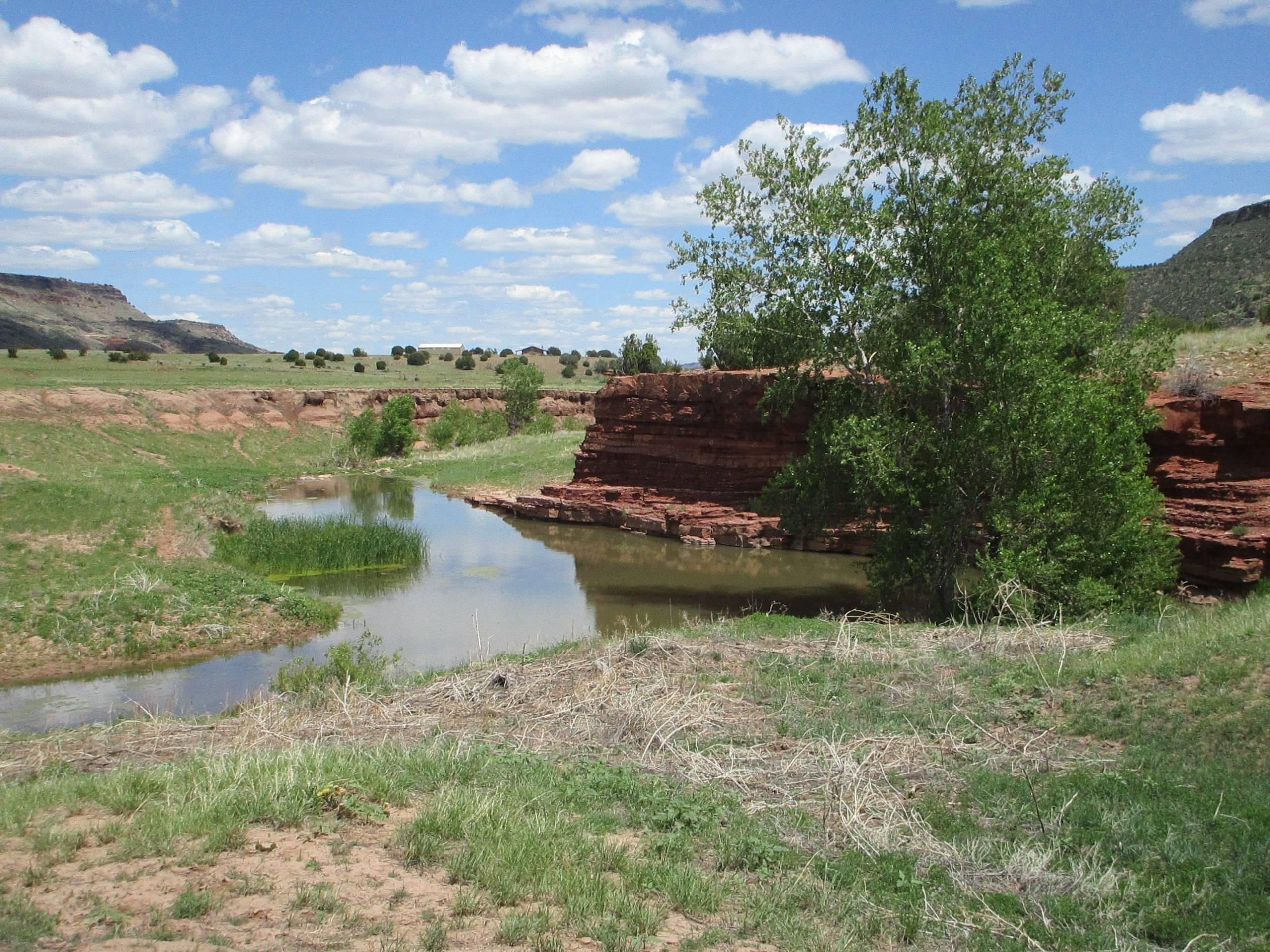 6255.00 acres in Union County, New Mexico