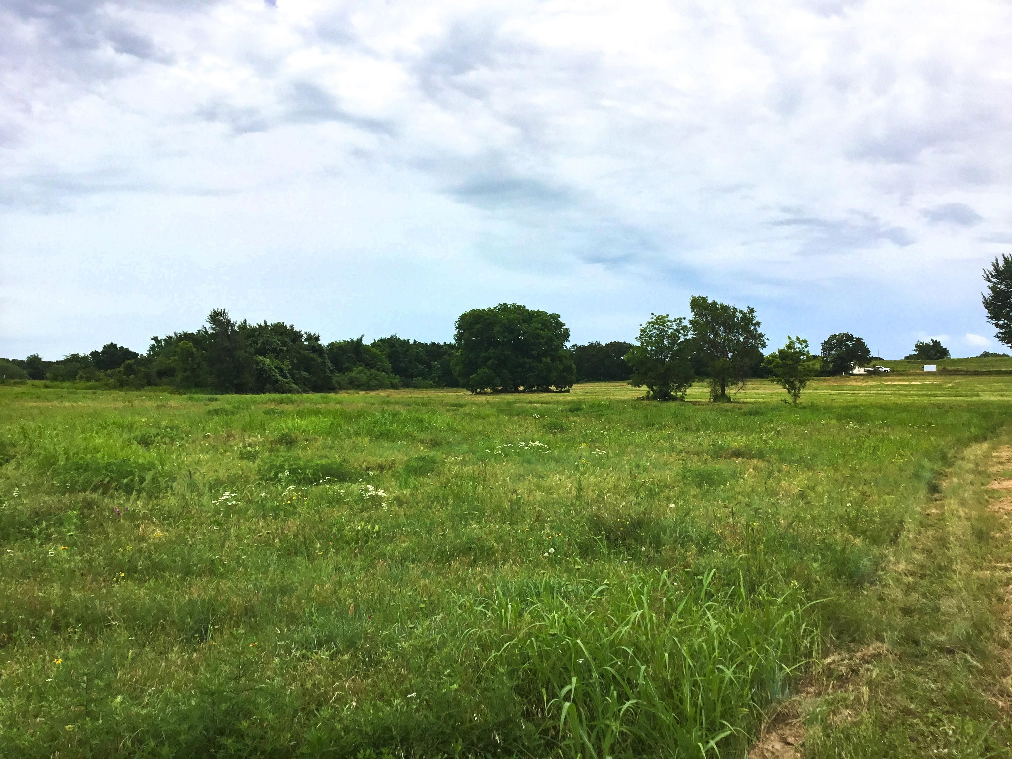 58 acres in Wise County, Texas