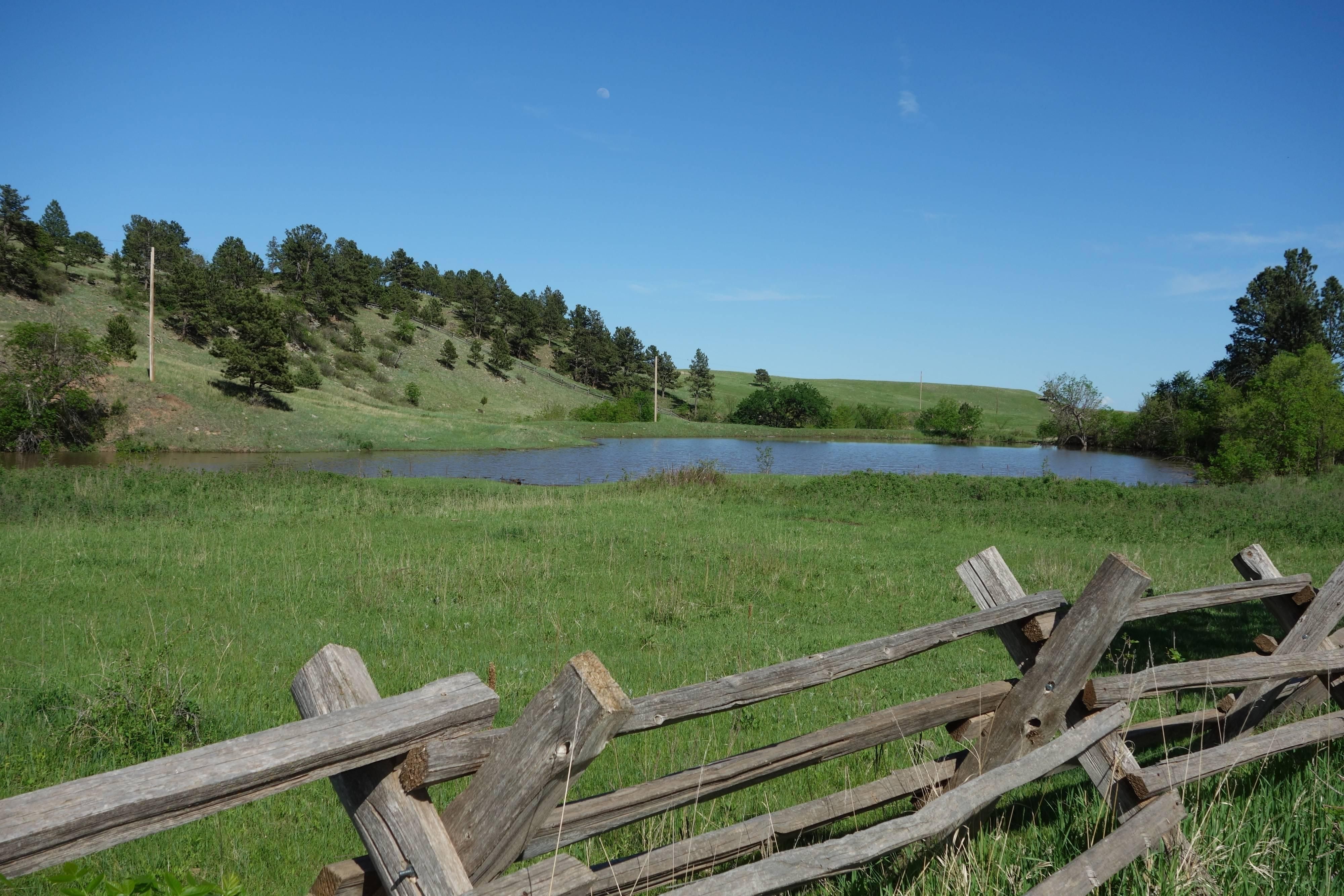 122 acres in Custer County, South Dakota