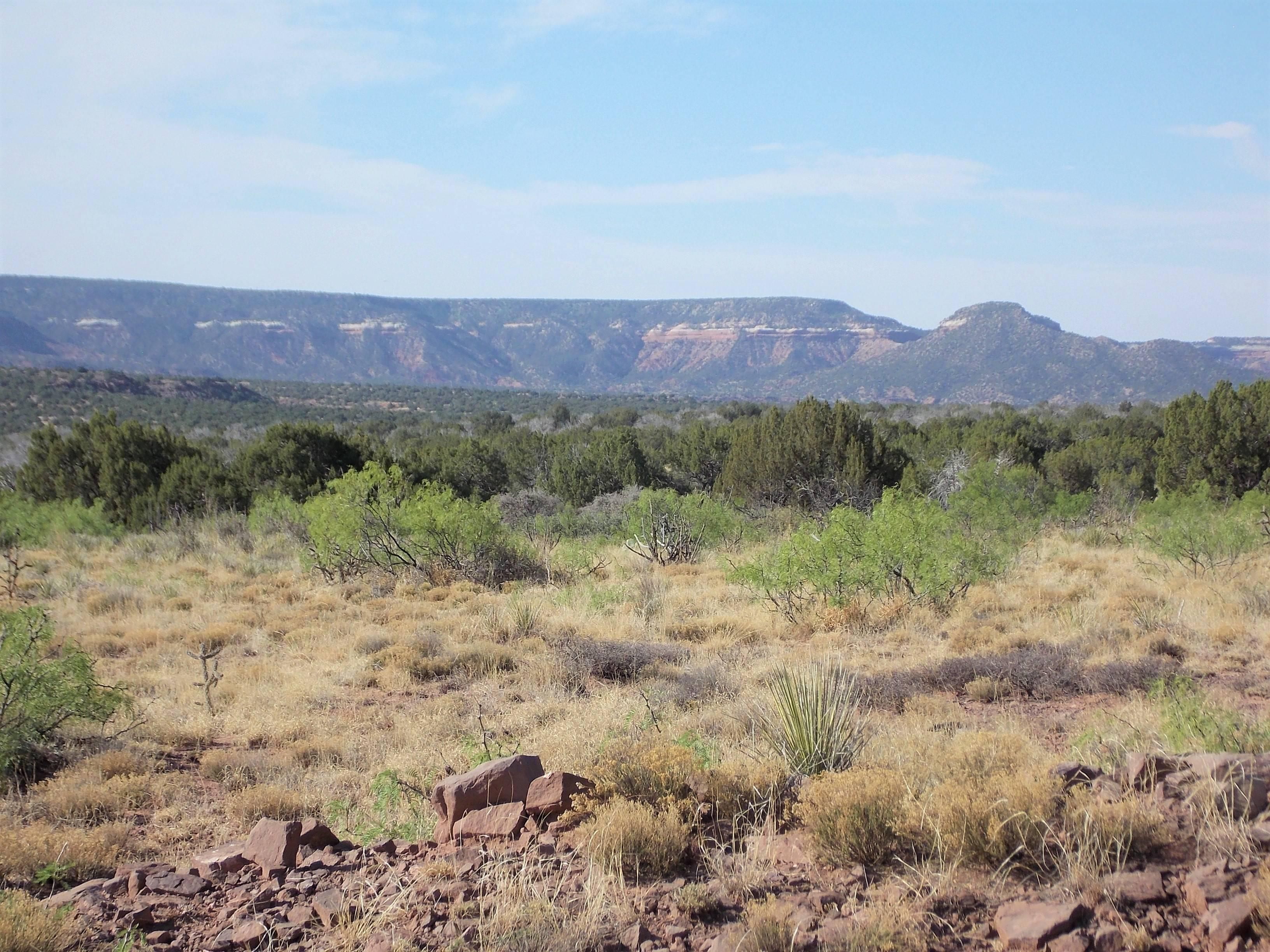 140.03 acres in Guadalupe County, New Mexico