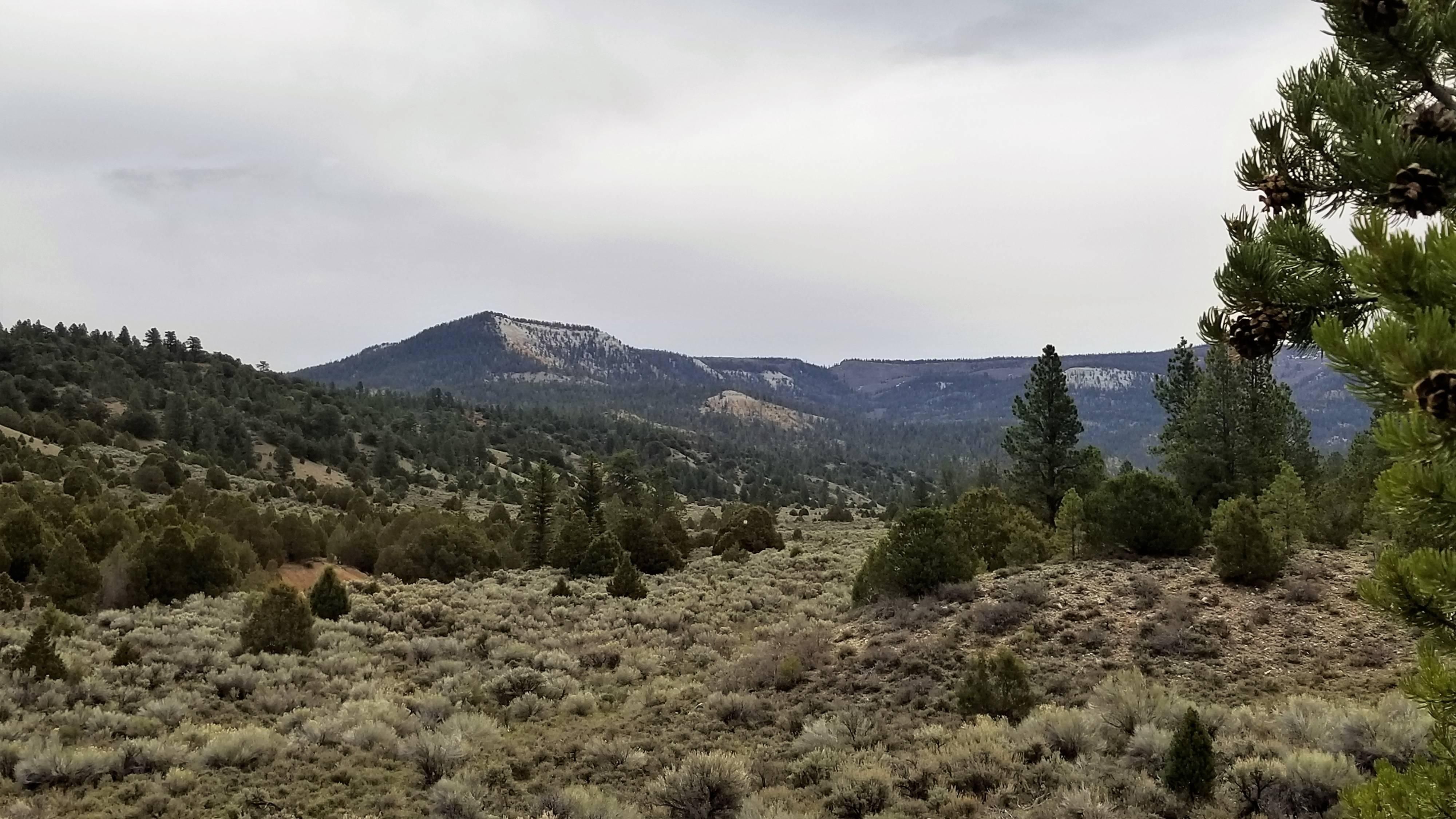 136.31 acres in Garfield County, Utah