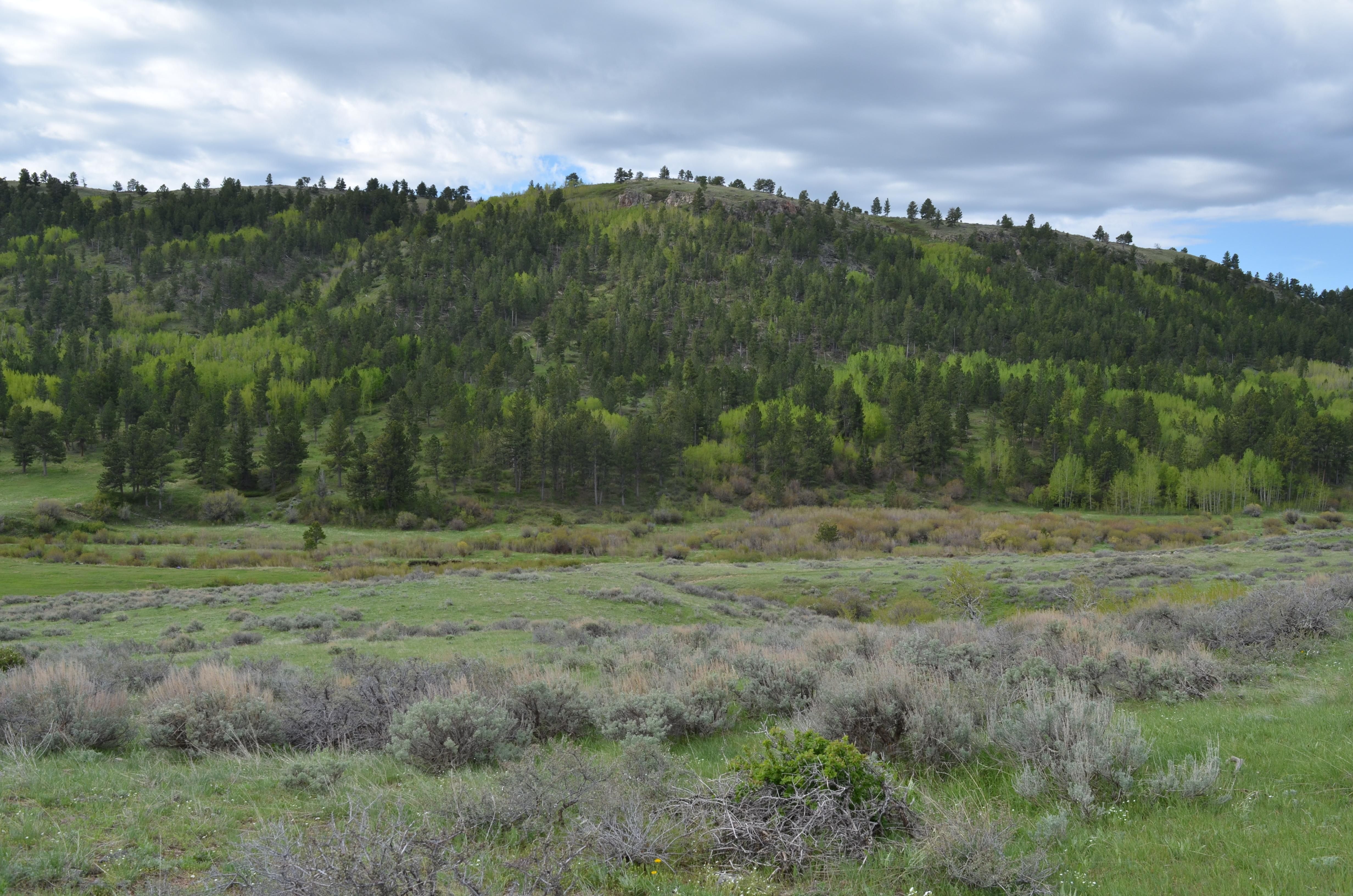 440 acres in Converse County, Wyoming