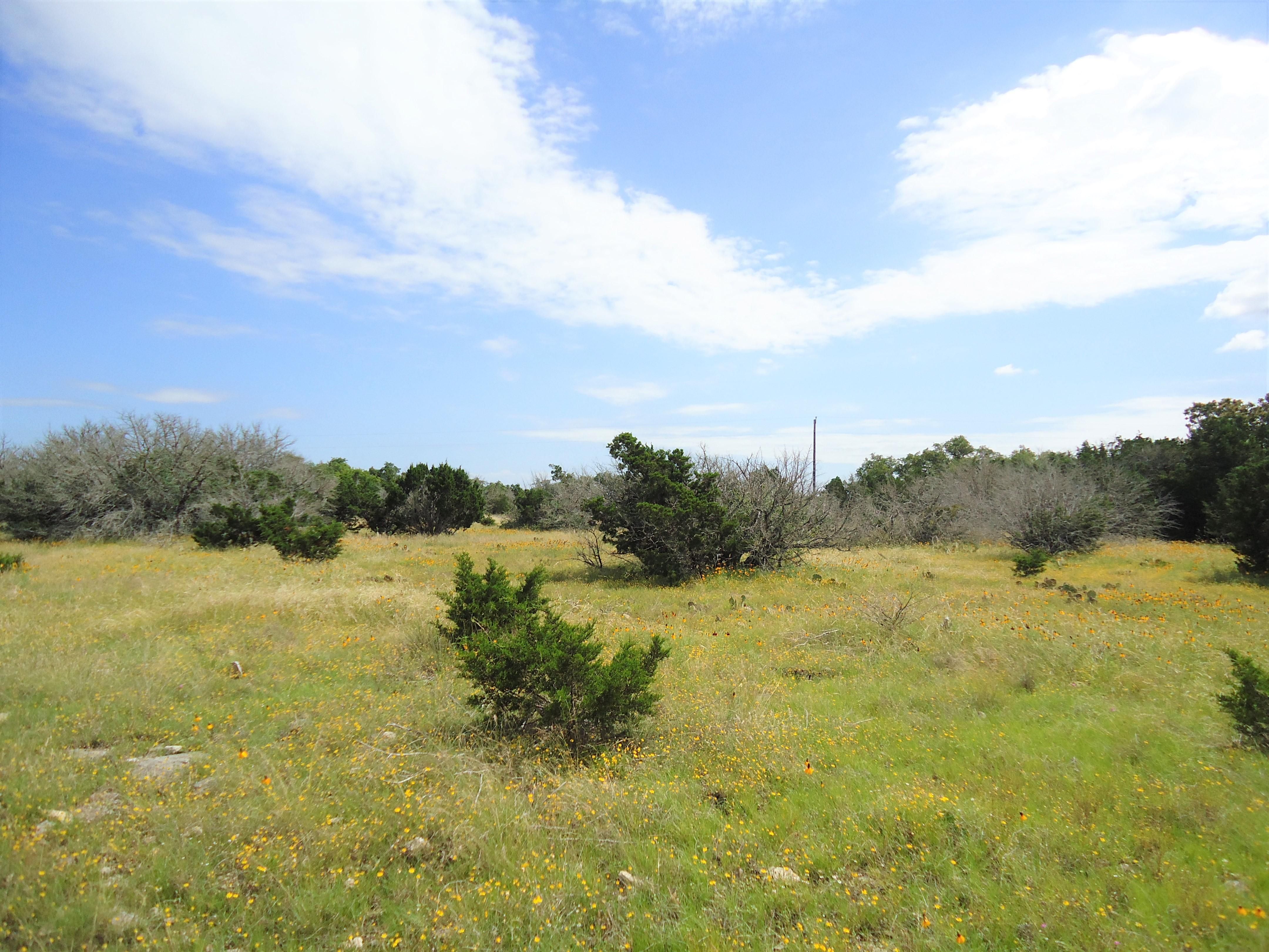 20 acres in Real County, Texas
