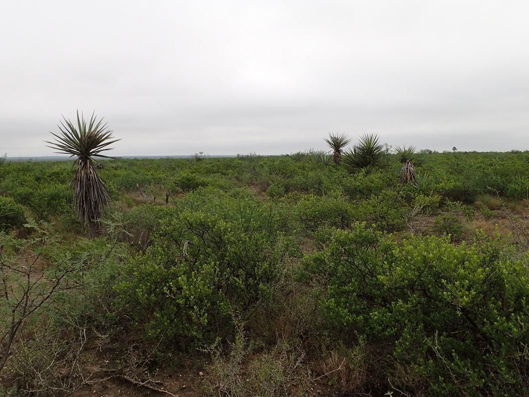 178.9 acres in Terrell County, Texas