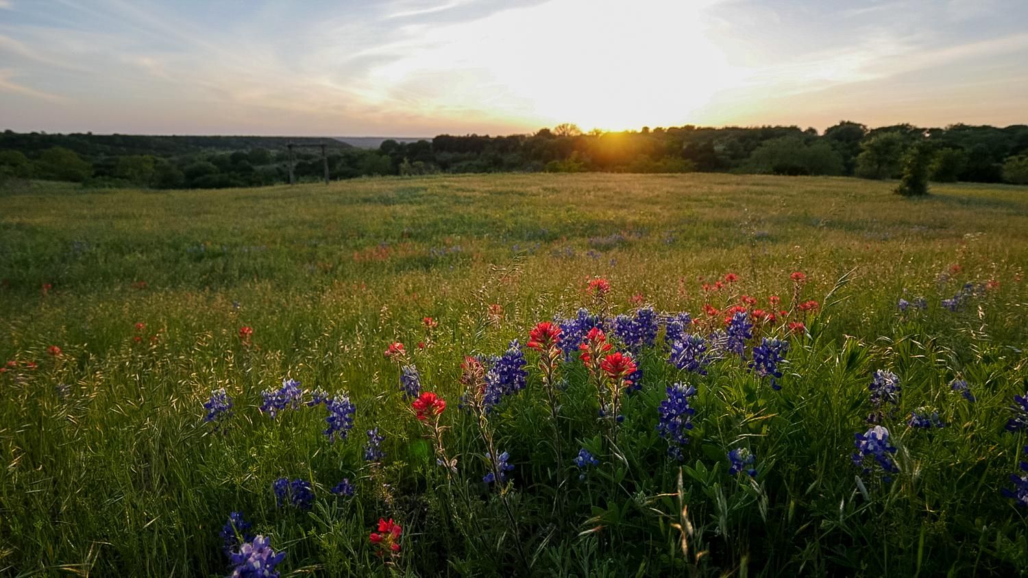 2,974 acres in Bosque County, Texas