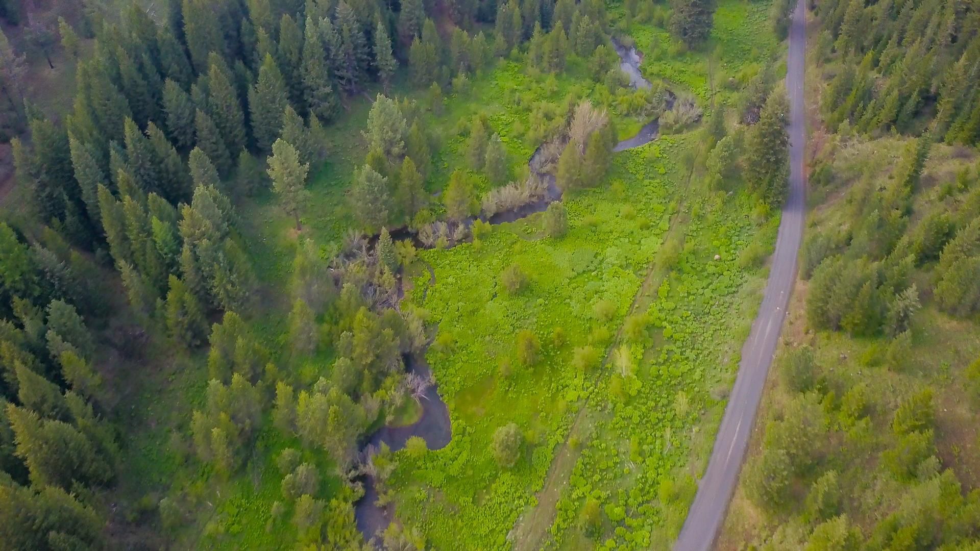 80 acres in Adams County, Idaho