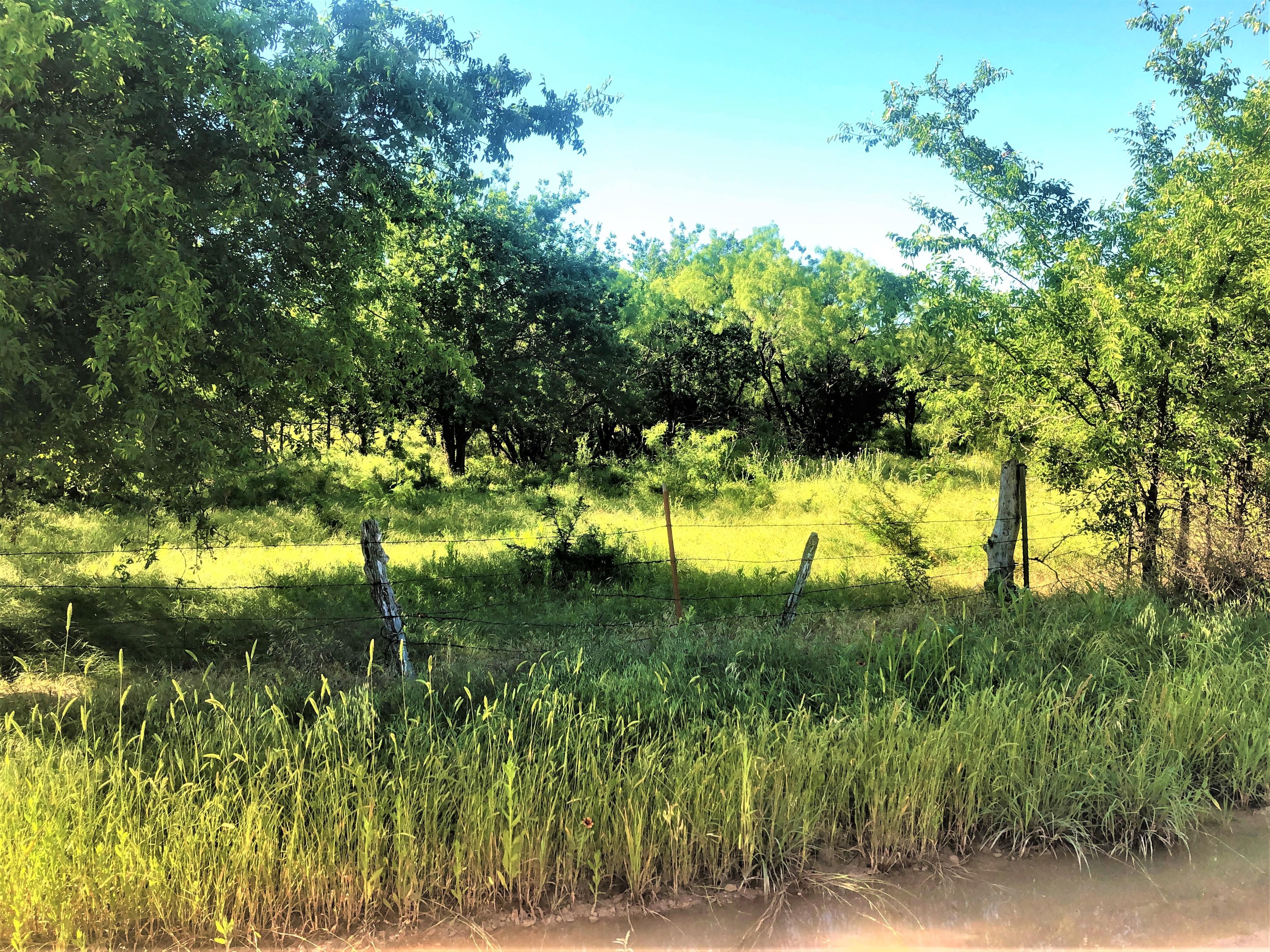 109.9 acres in Callahan County, Texas