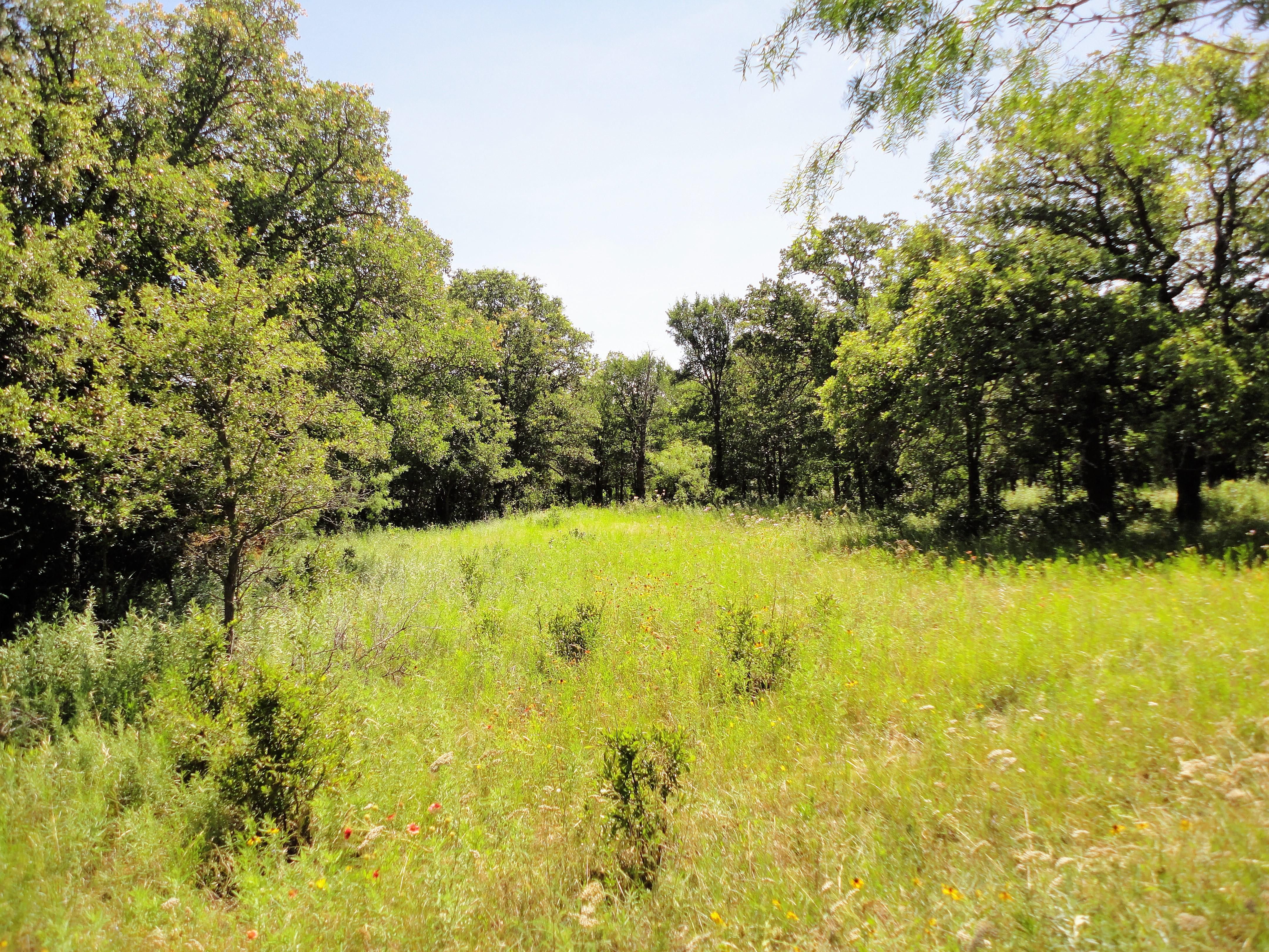 70 acres in Young County, Texas