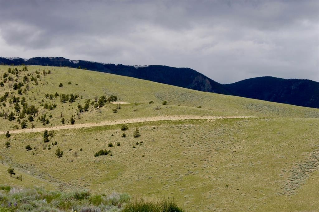 20.00 acres in Carbon County, Montana