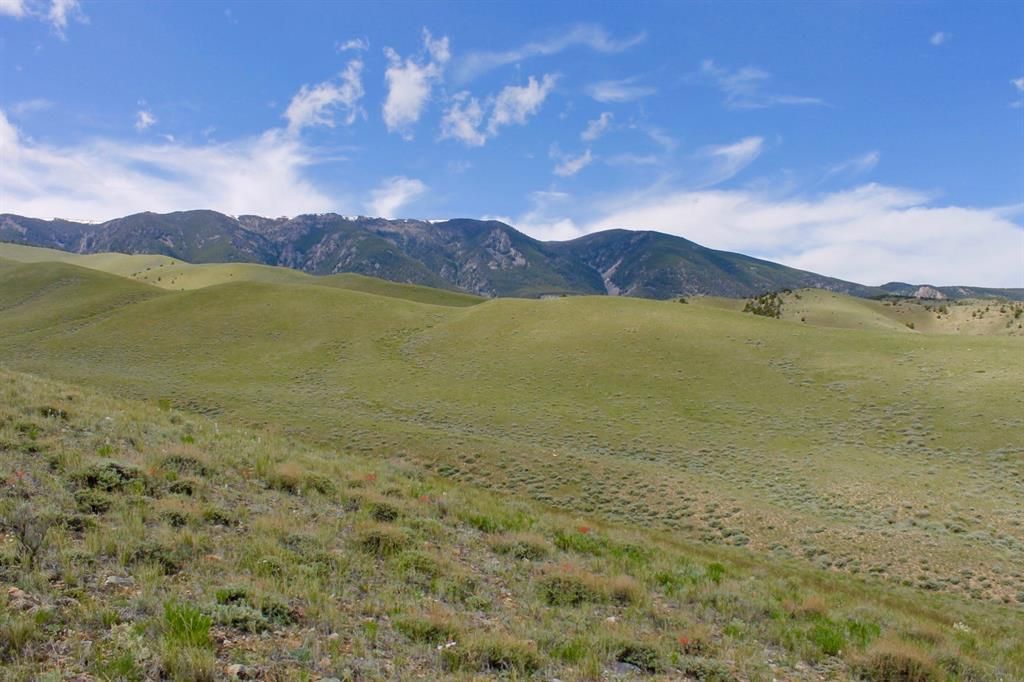 20.00 acres in Carbon County, Montana