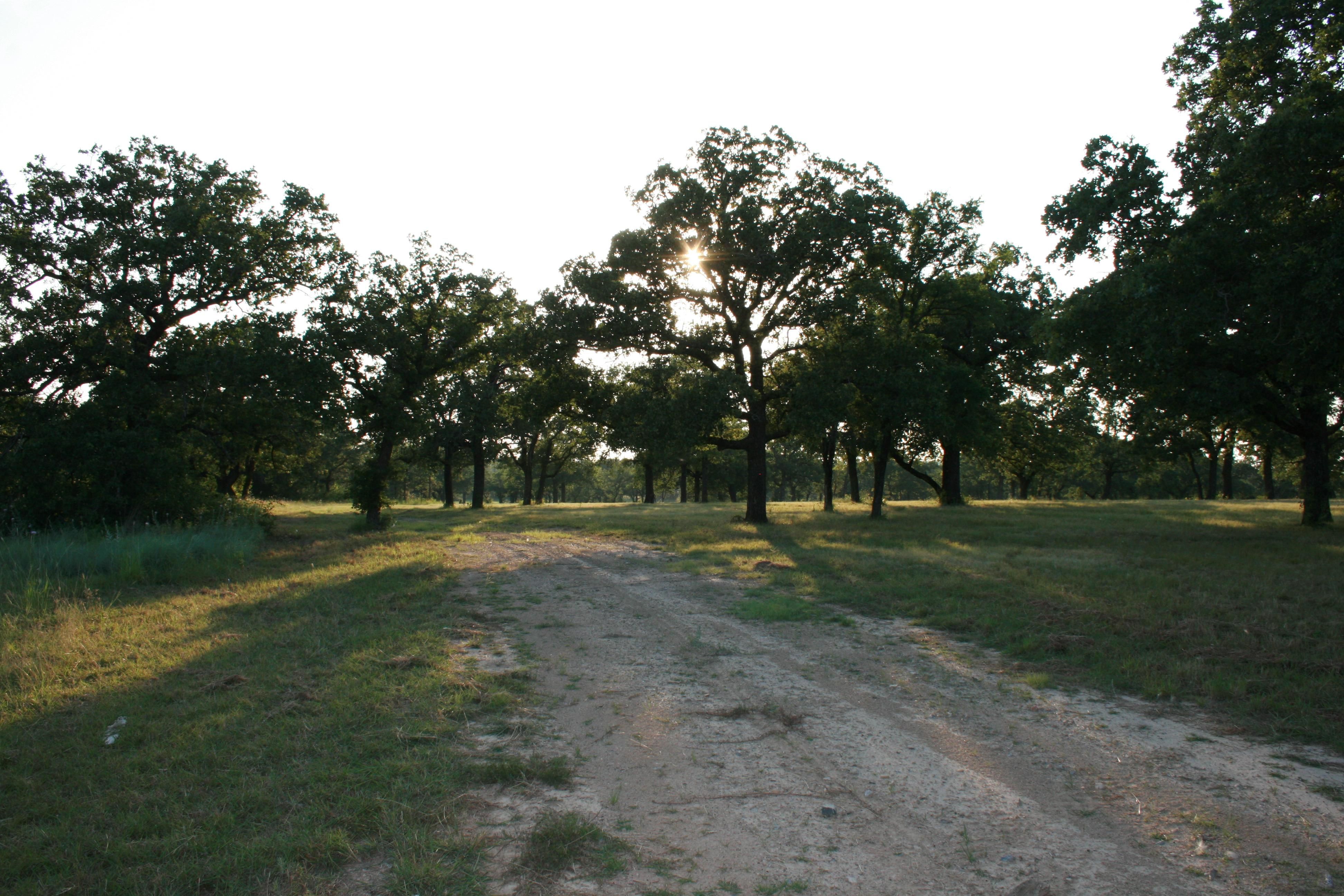 62 acres in Palo Pinto County, Texas