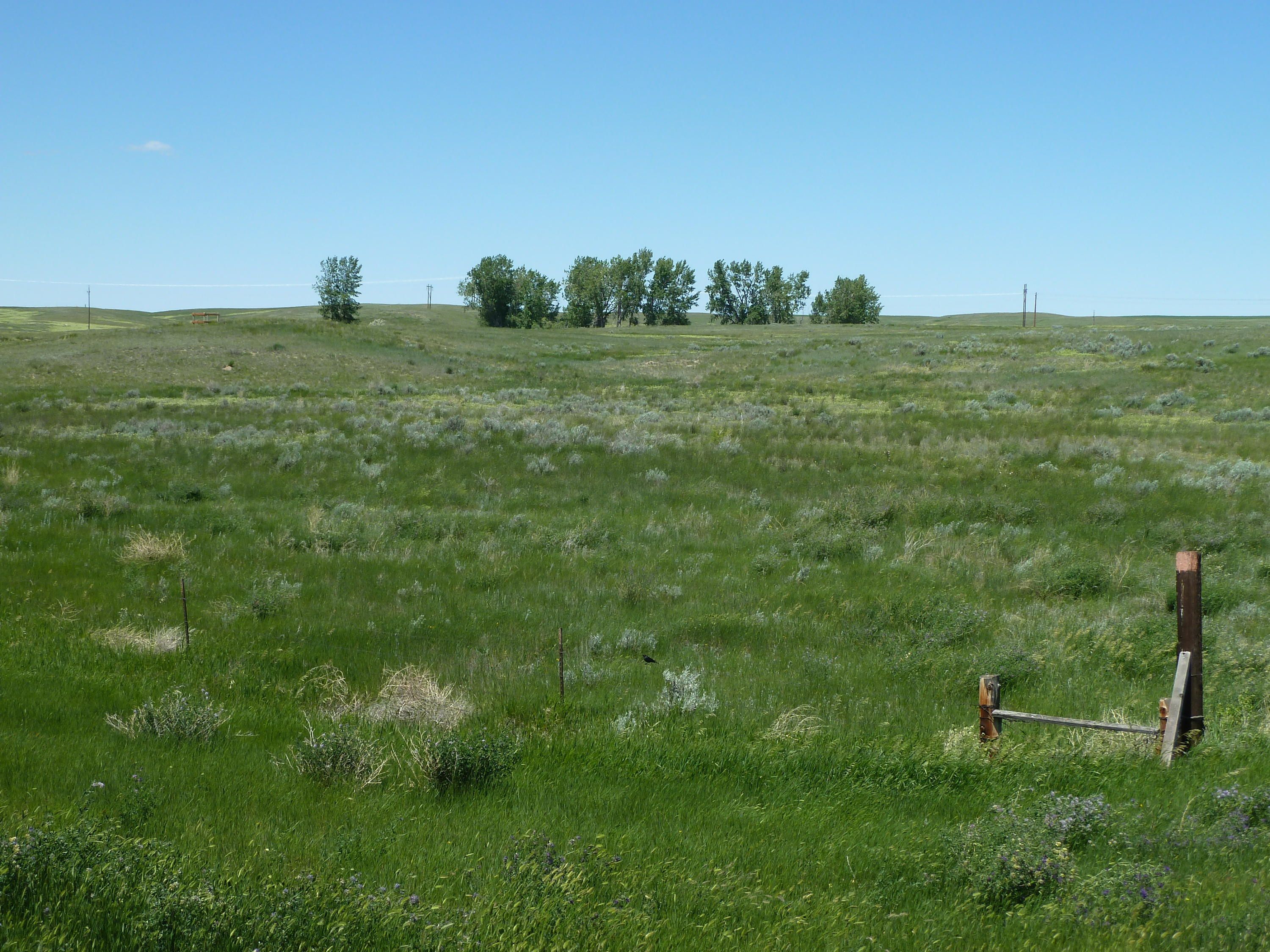 160 acres in Roosevelt County, Montana