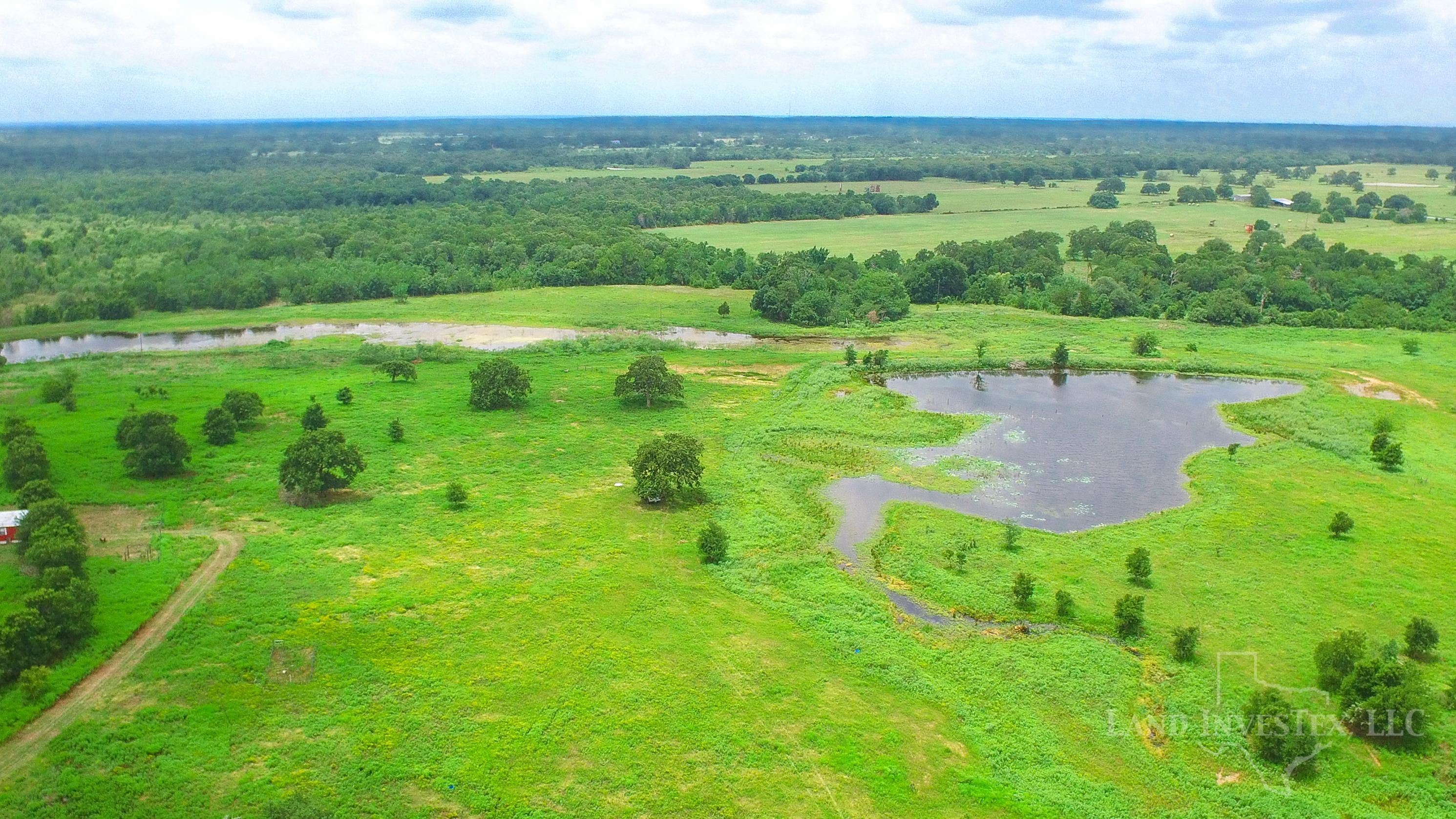 61 acres in Bastrop County, Texas