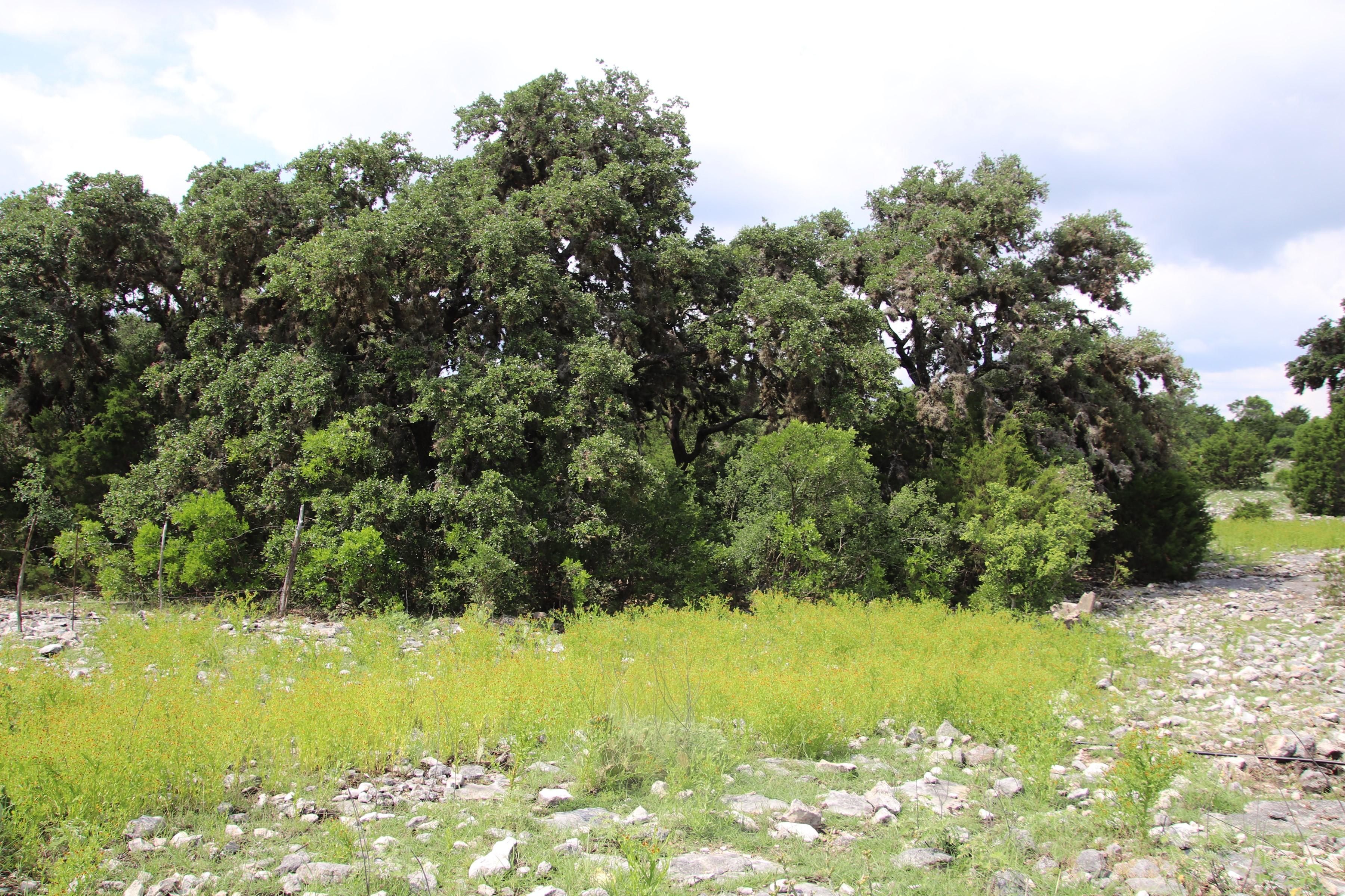 34 acres in Edwards County, Texas