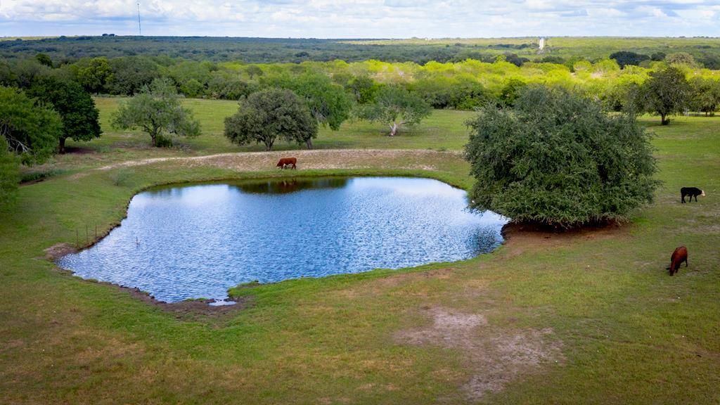 70 acres in Bee County, Texas