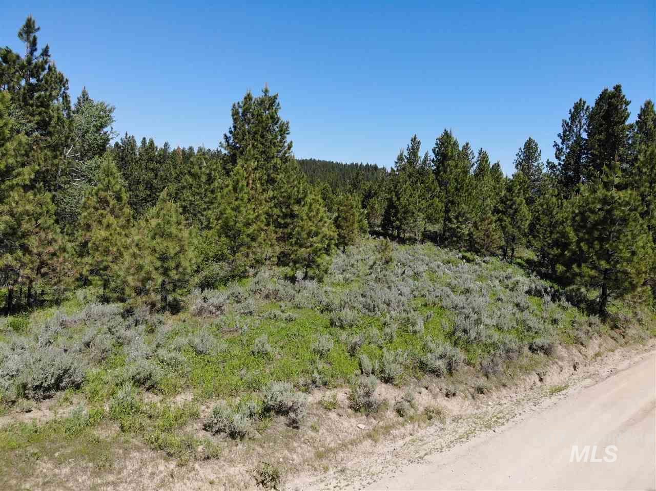 5.03 acres in Boise County, Idaho