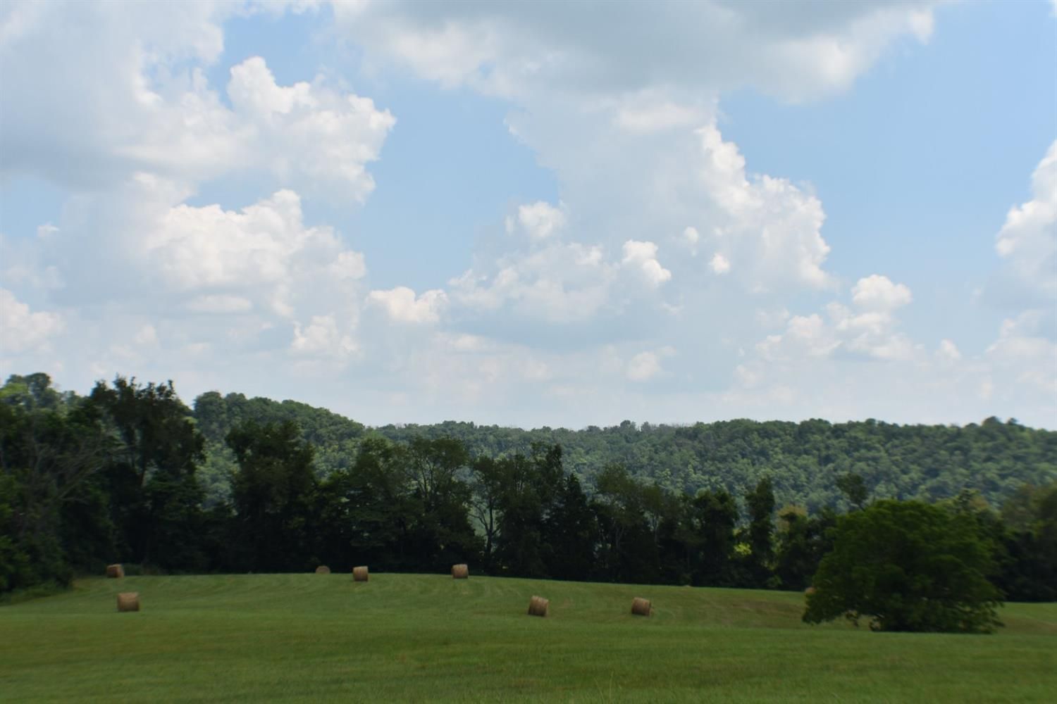 10 acres in Mercer County, Kentucky