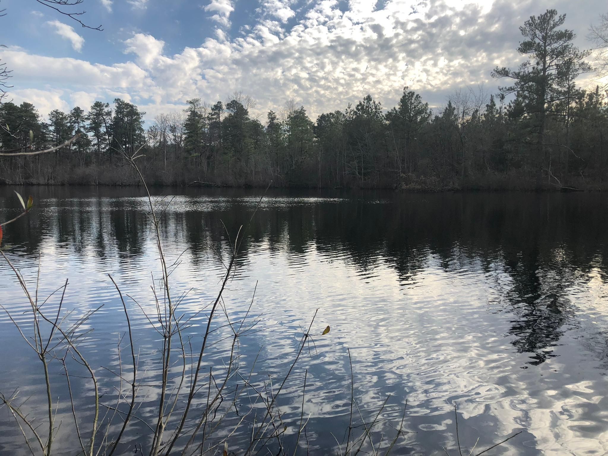 118.10 Acres In Moore County, North Carolina