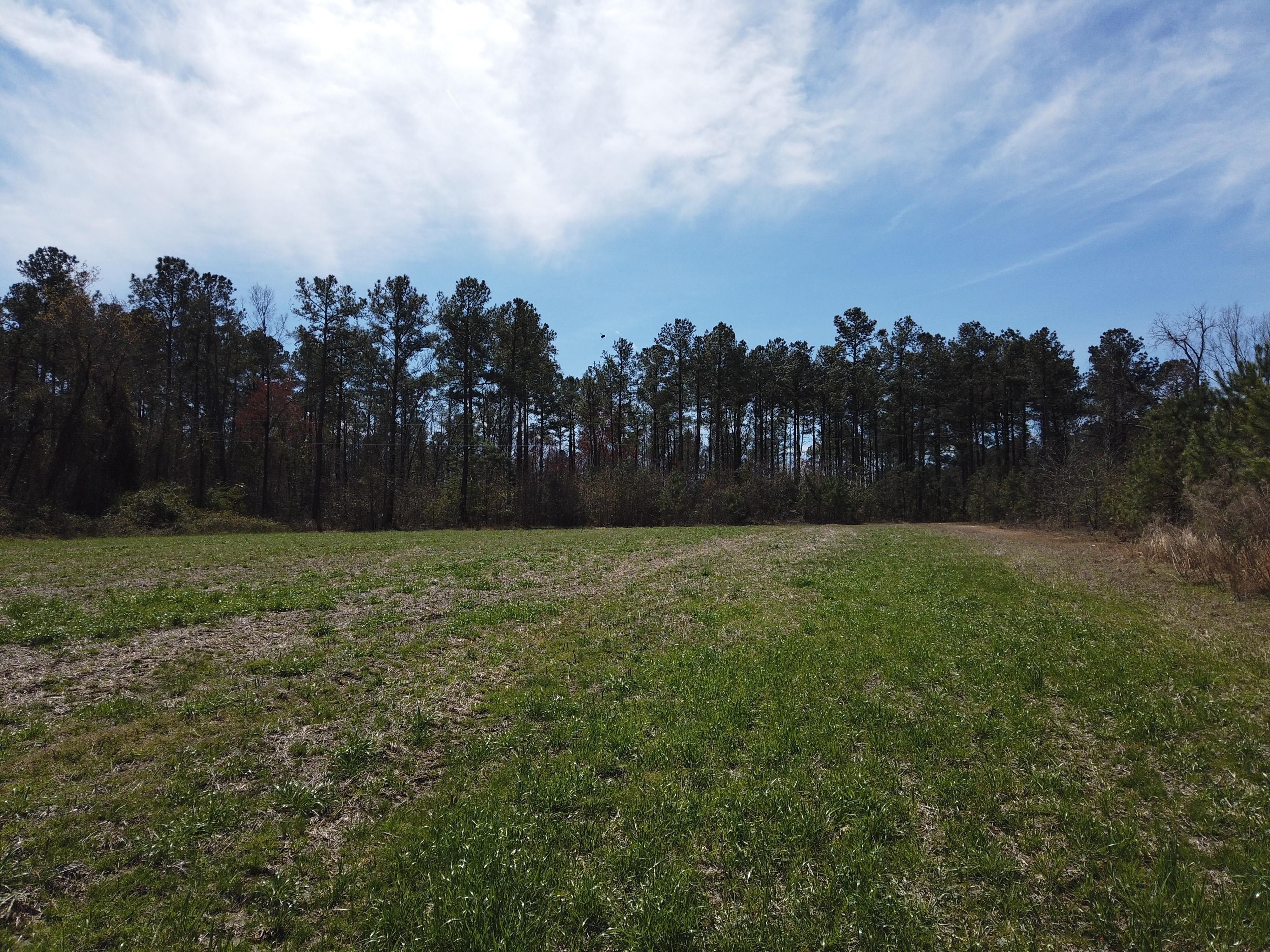 85.2 acres in Robeson County, North Carolina