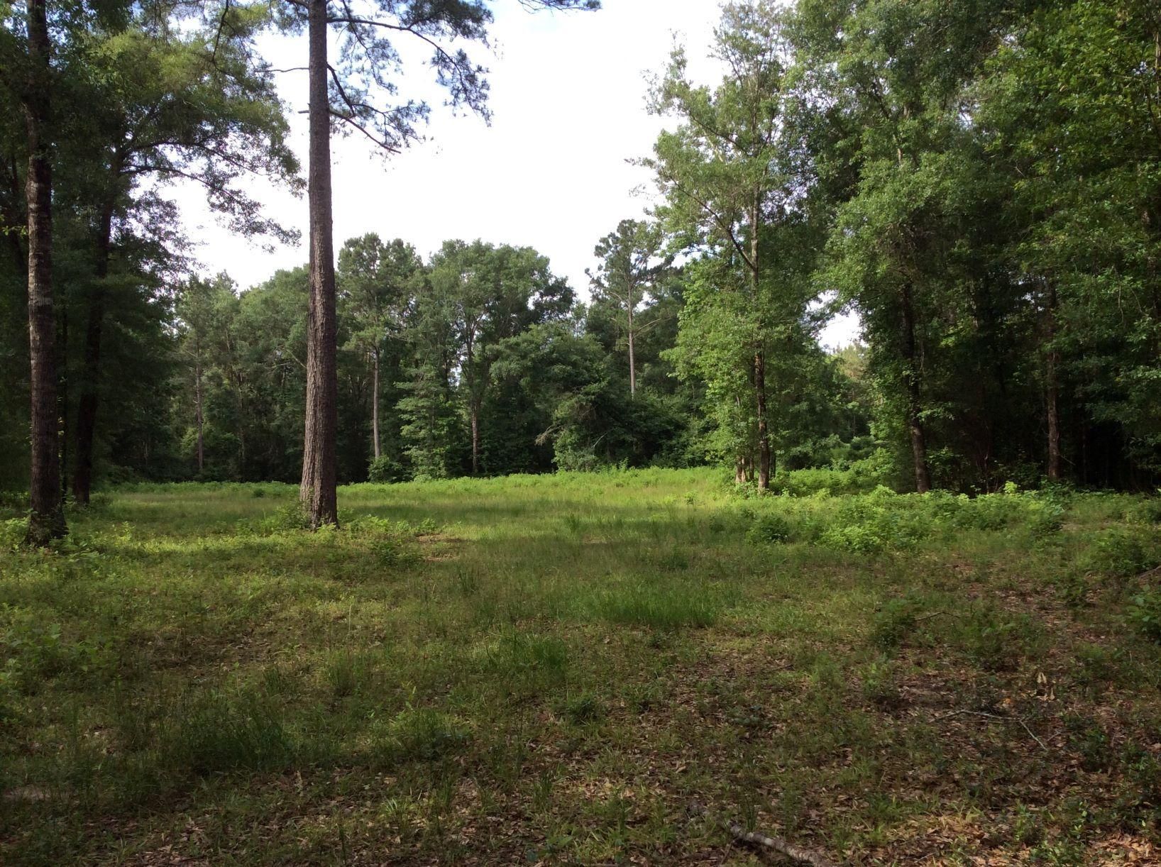 46 acres in Tyler County, Texas