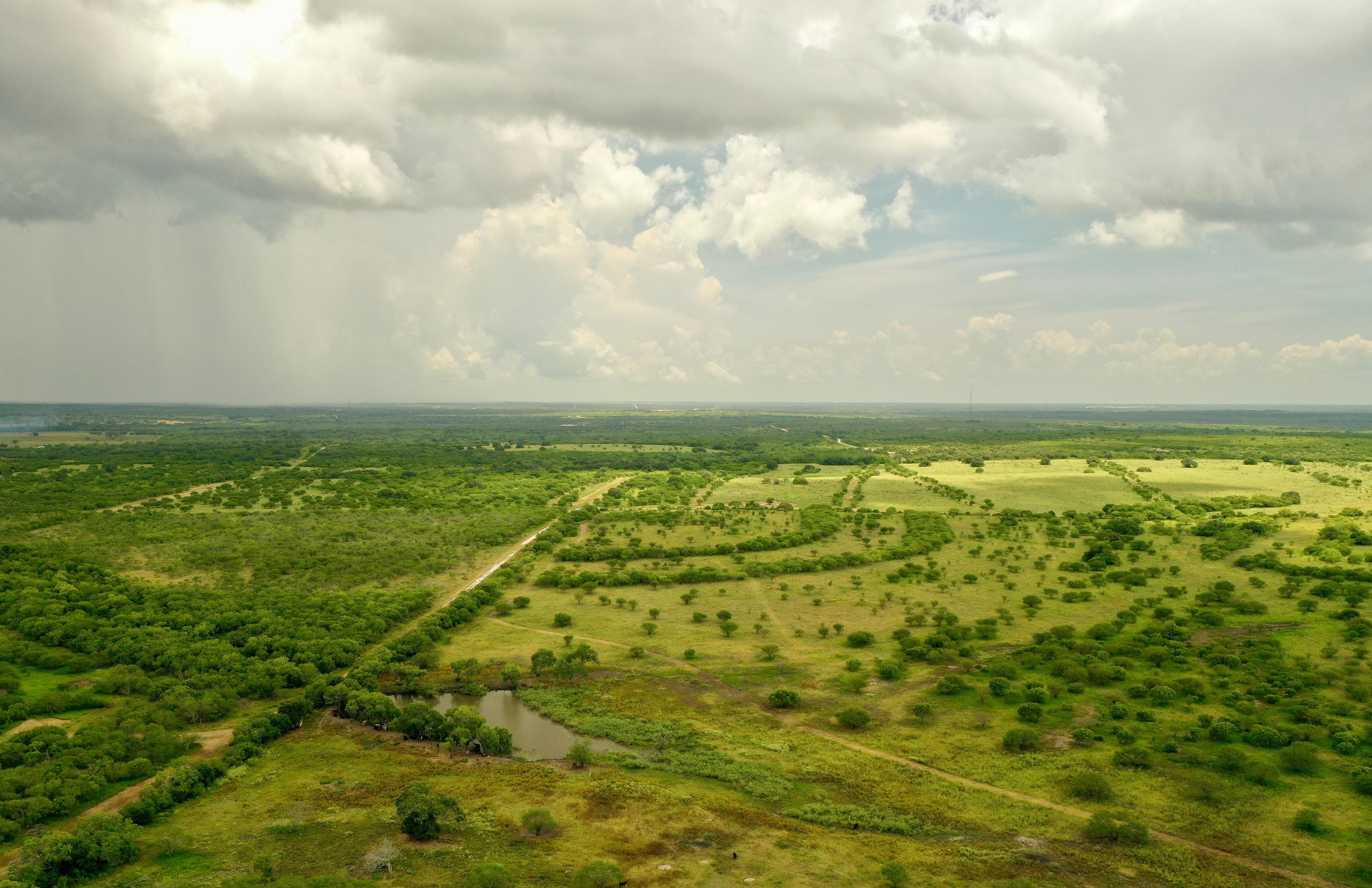3,865 acres in Bee County, Texas