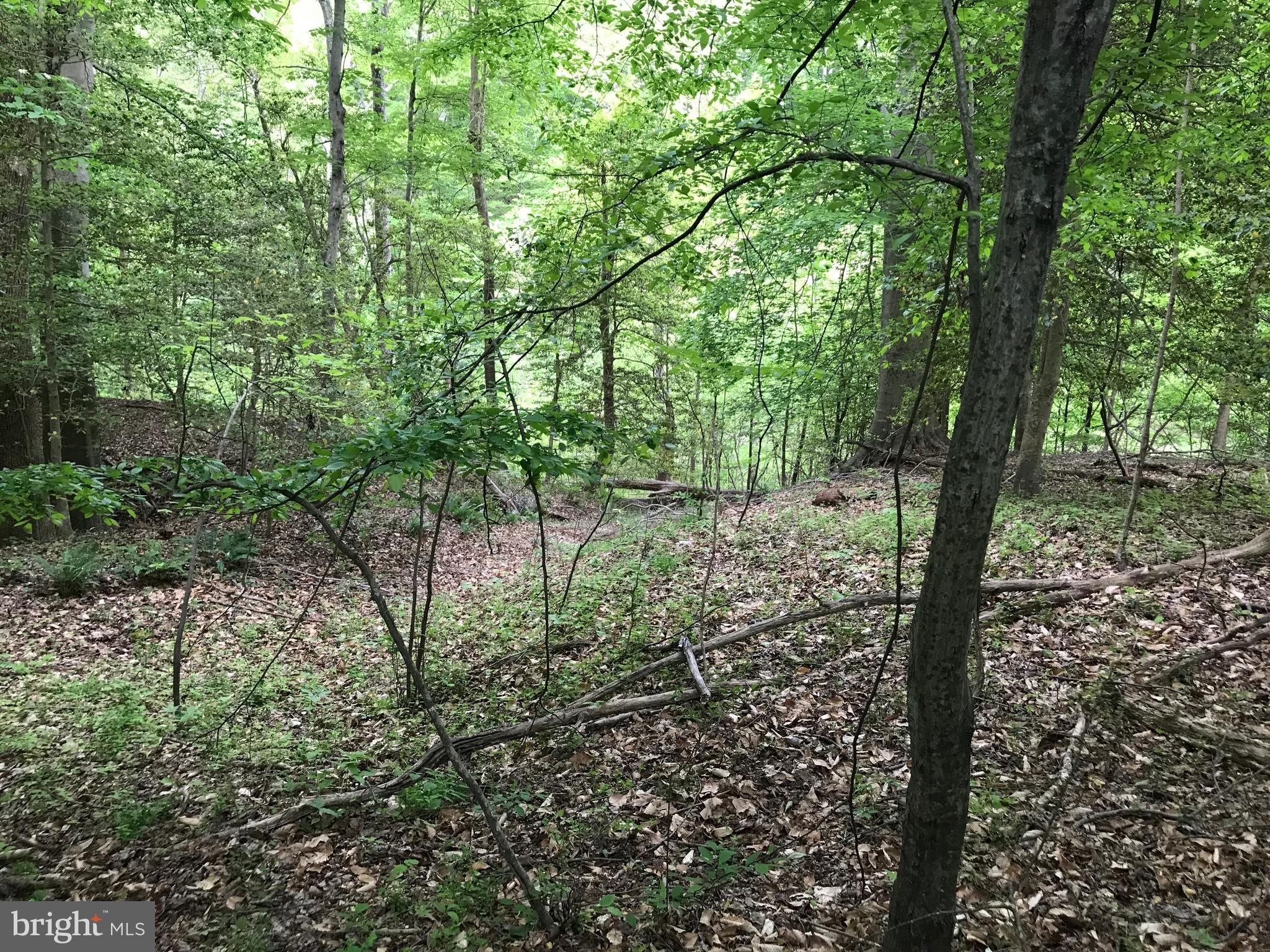 0 67 Acres In Charles County Maryland