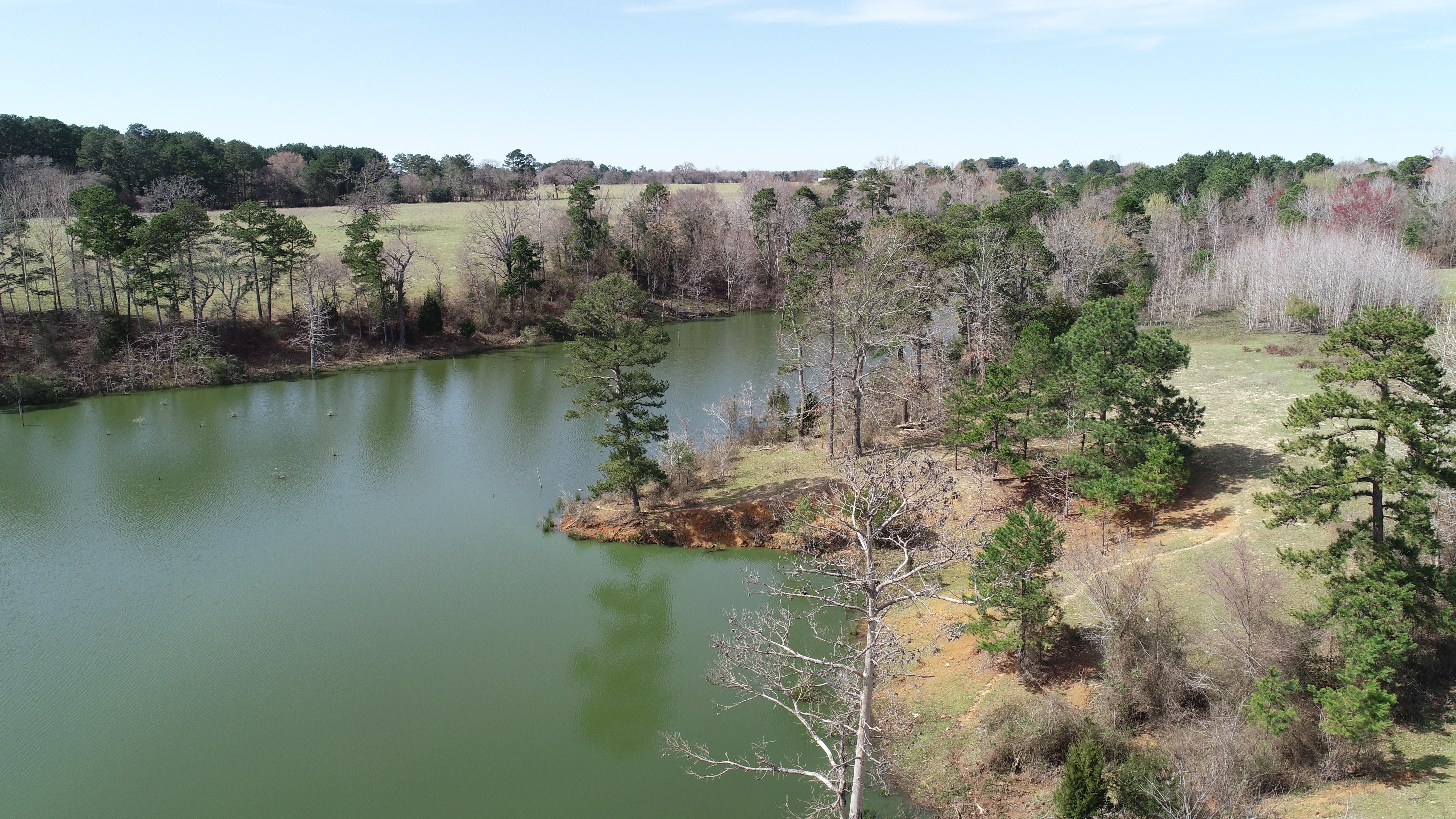 154.76 acres in Anderson County, Texas
