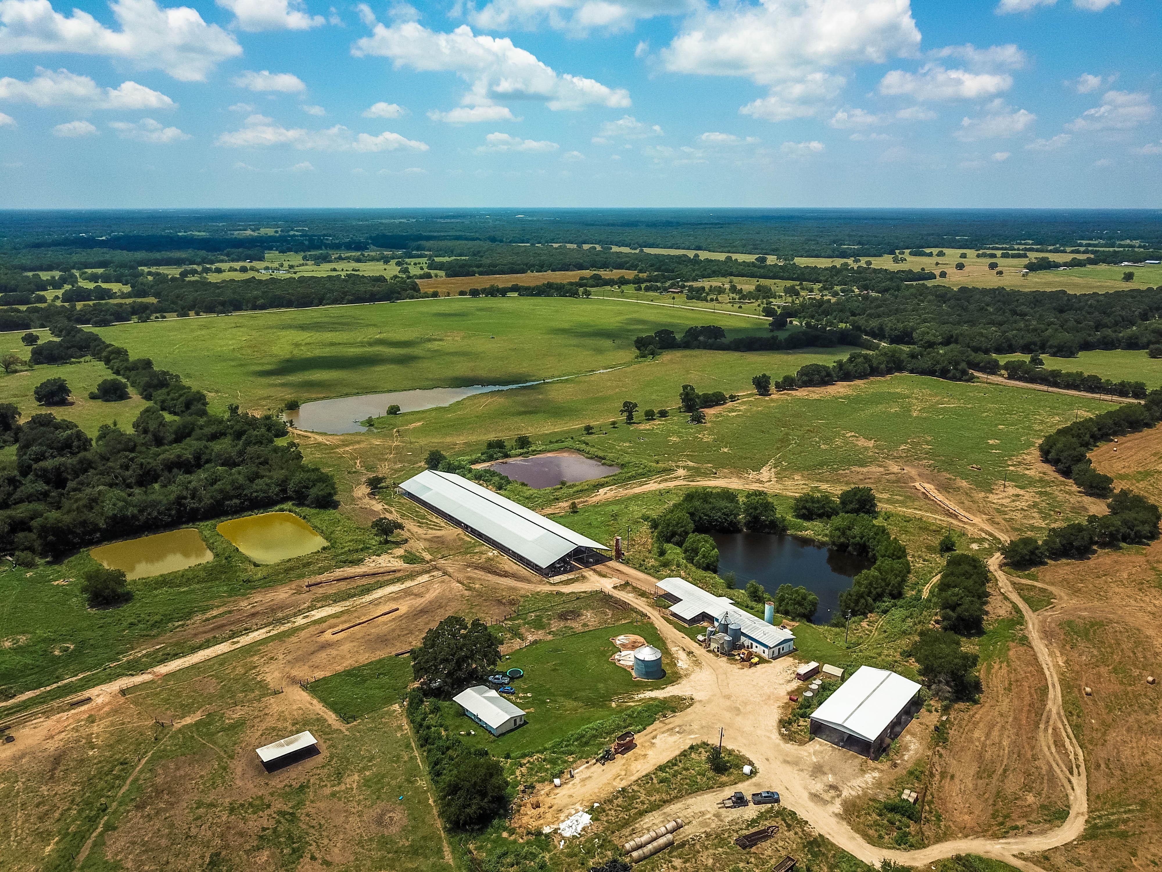 230 acres in Rains County, Texas