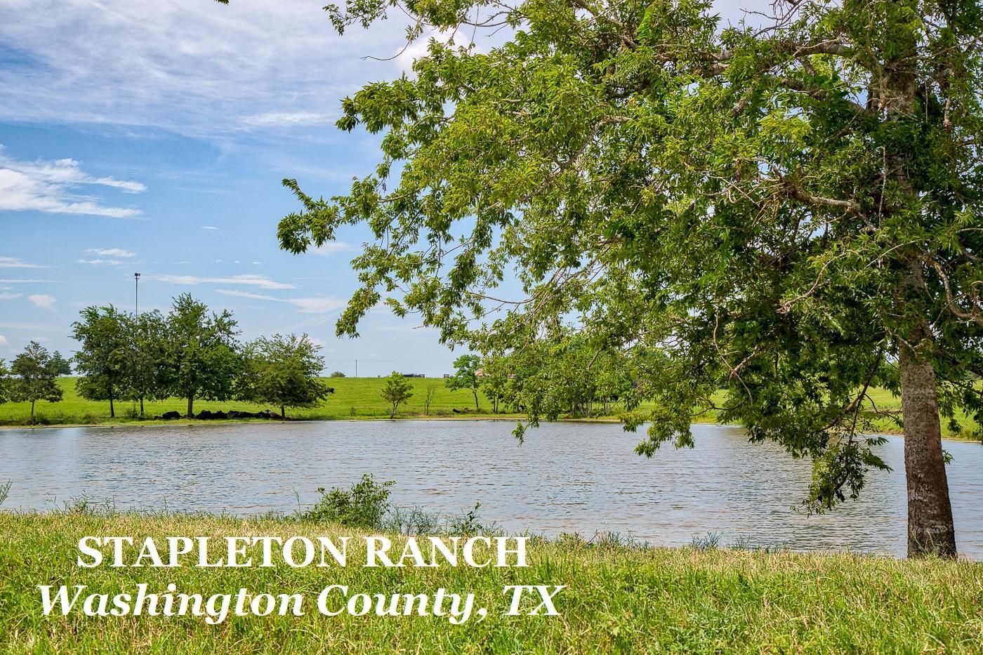 392 acres in Washington County, Texas