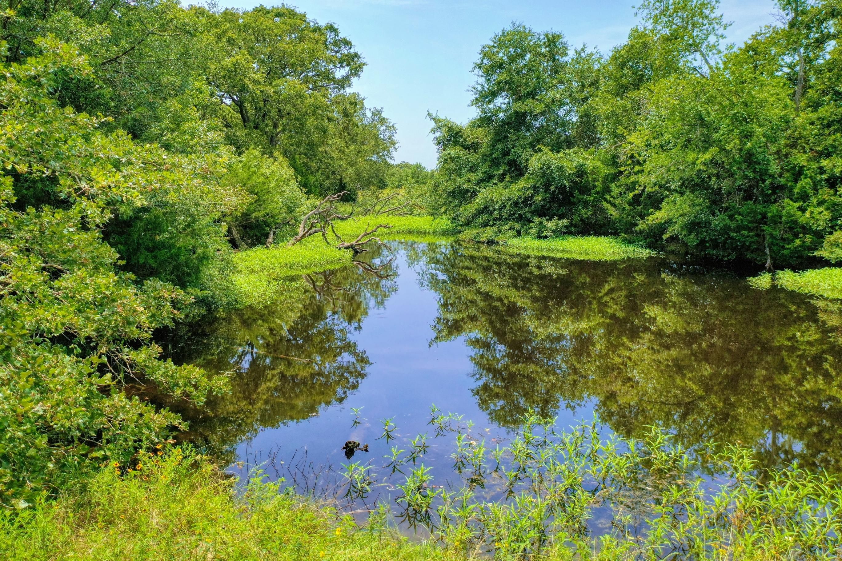 129.58 acres in Robertson County, Texas