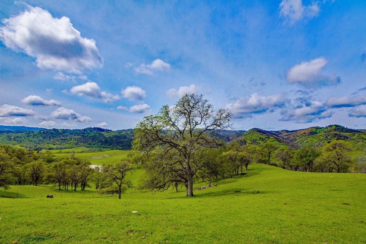 21.4 acres in Yolo County, California