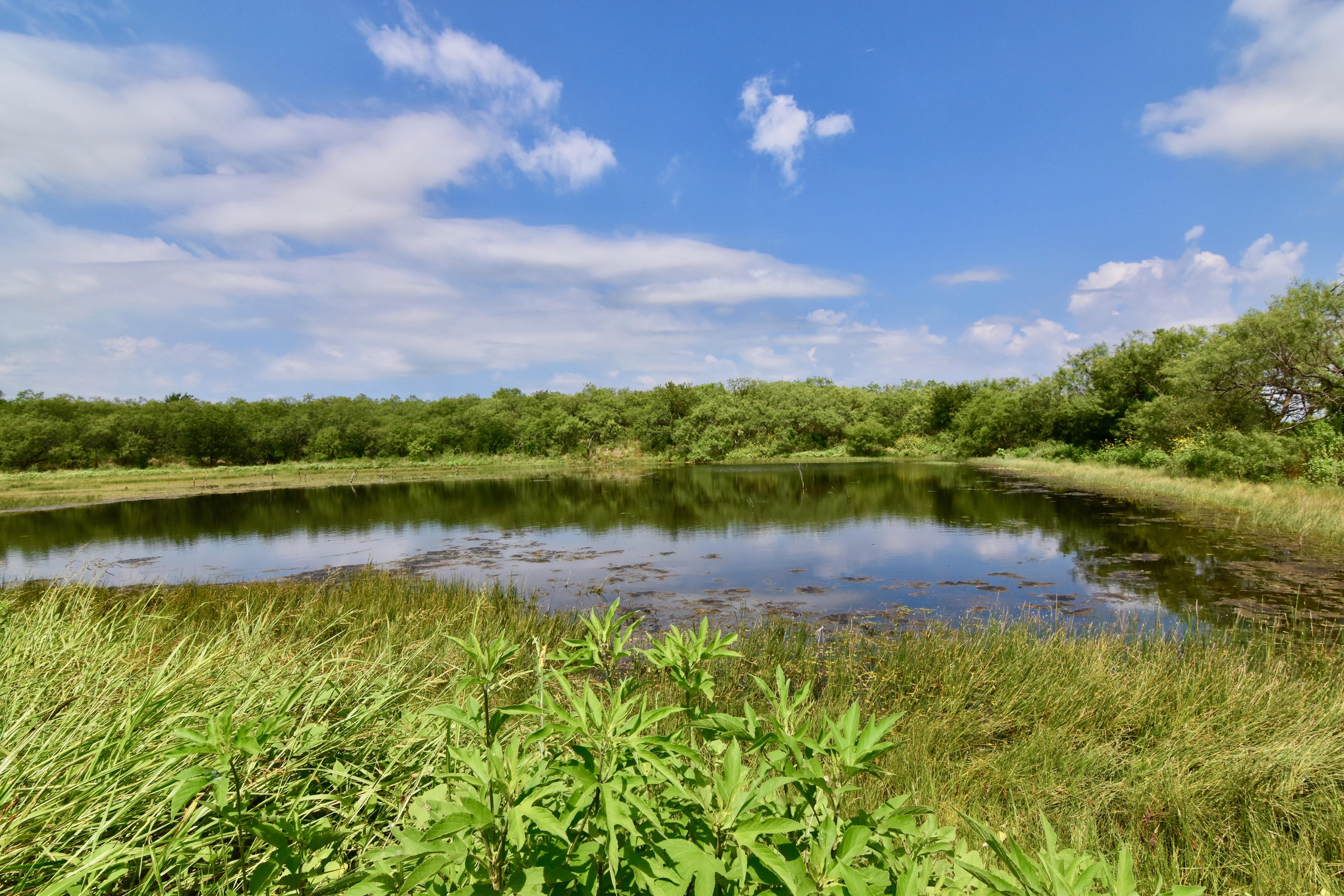 101 acres in Callahan County, Texas