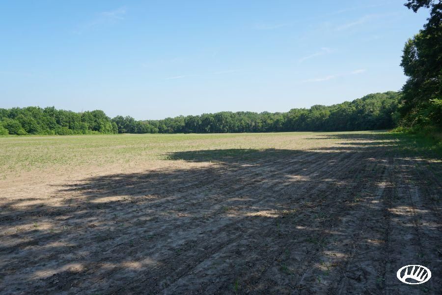 438 acres in Knox County, Missouri