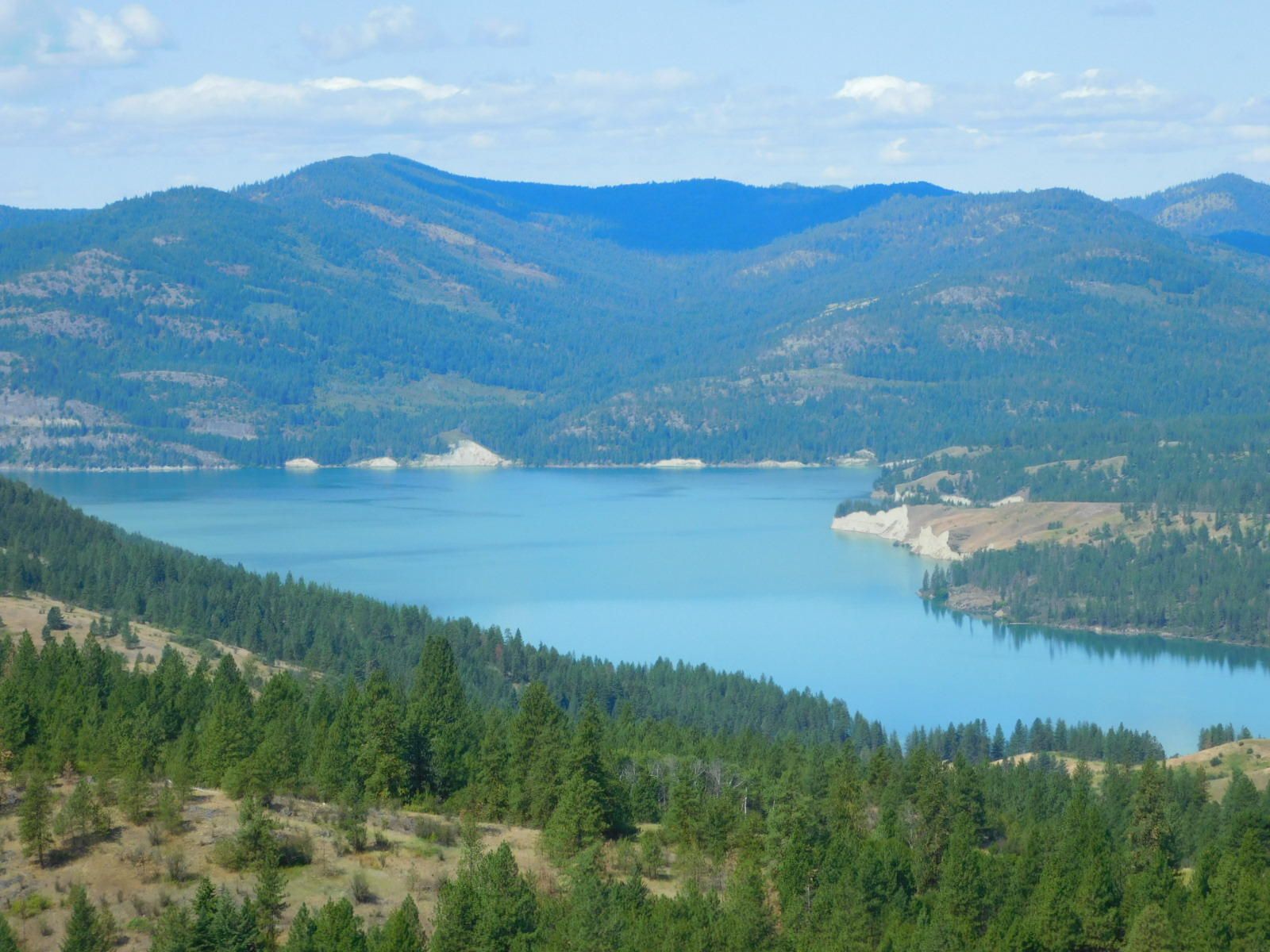 40 acres in stevens county, washington