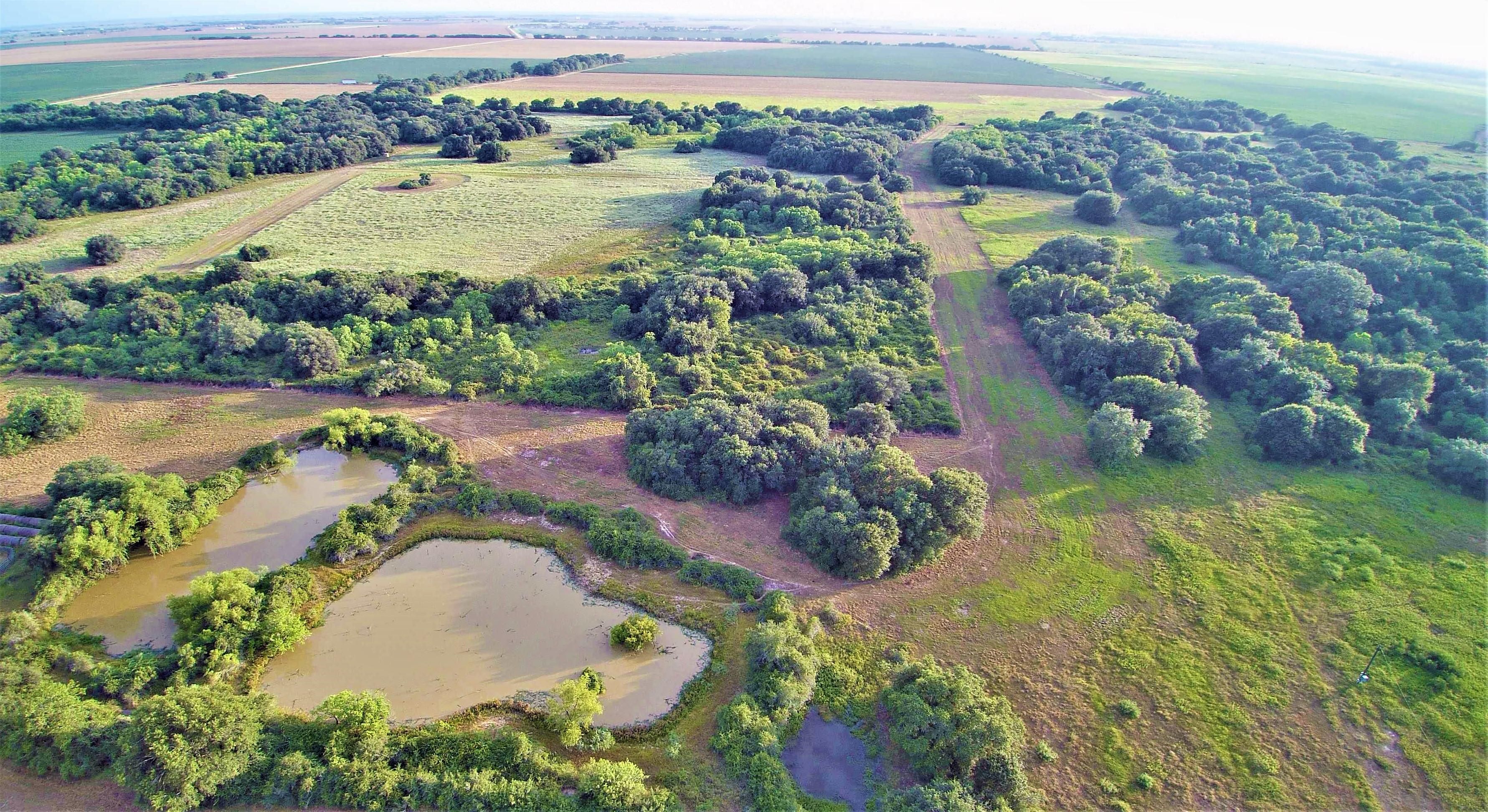 118 acres in Wharton County, Texas