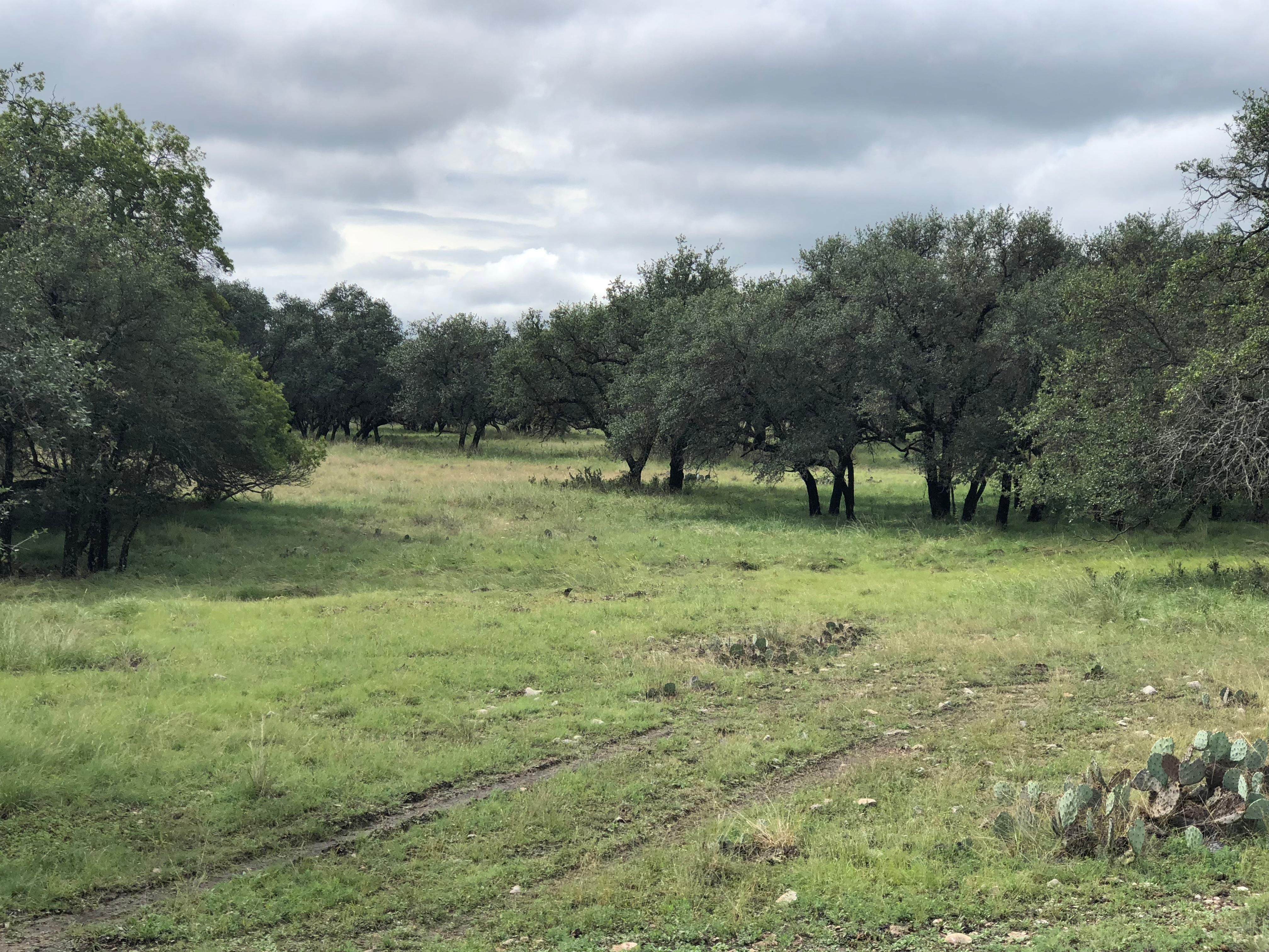 15.05 acres in Menard County, Texas