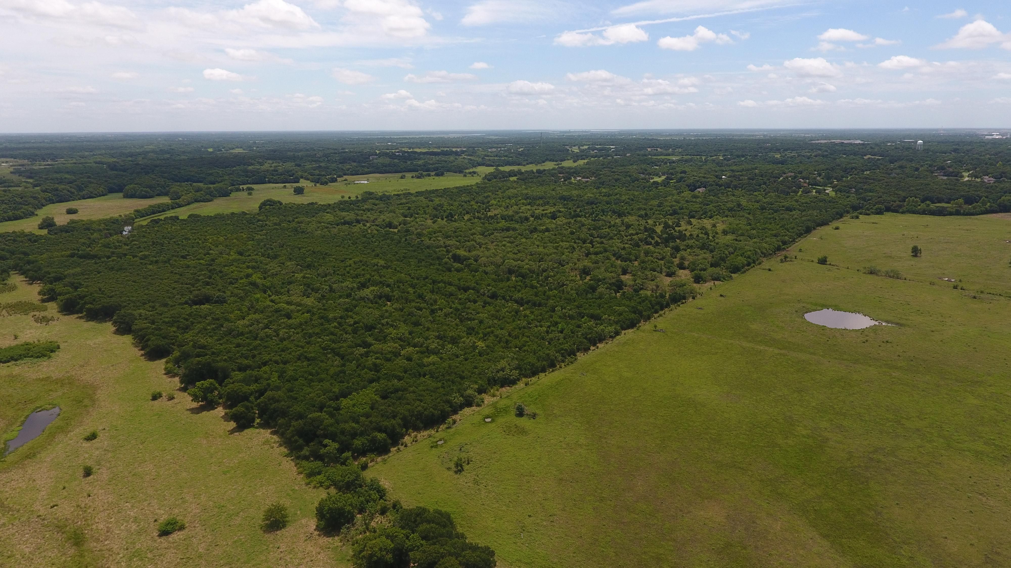 149.15 acres in Navarro County, Texas