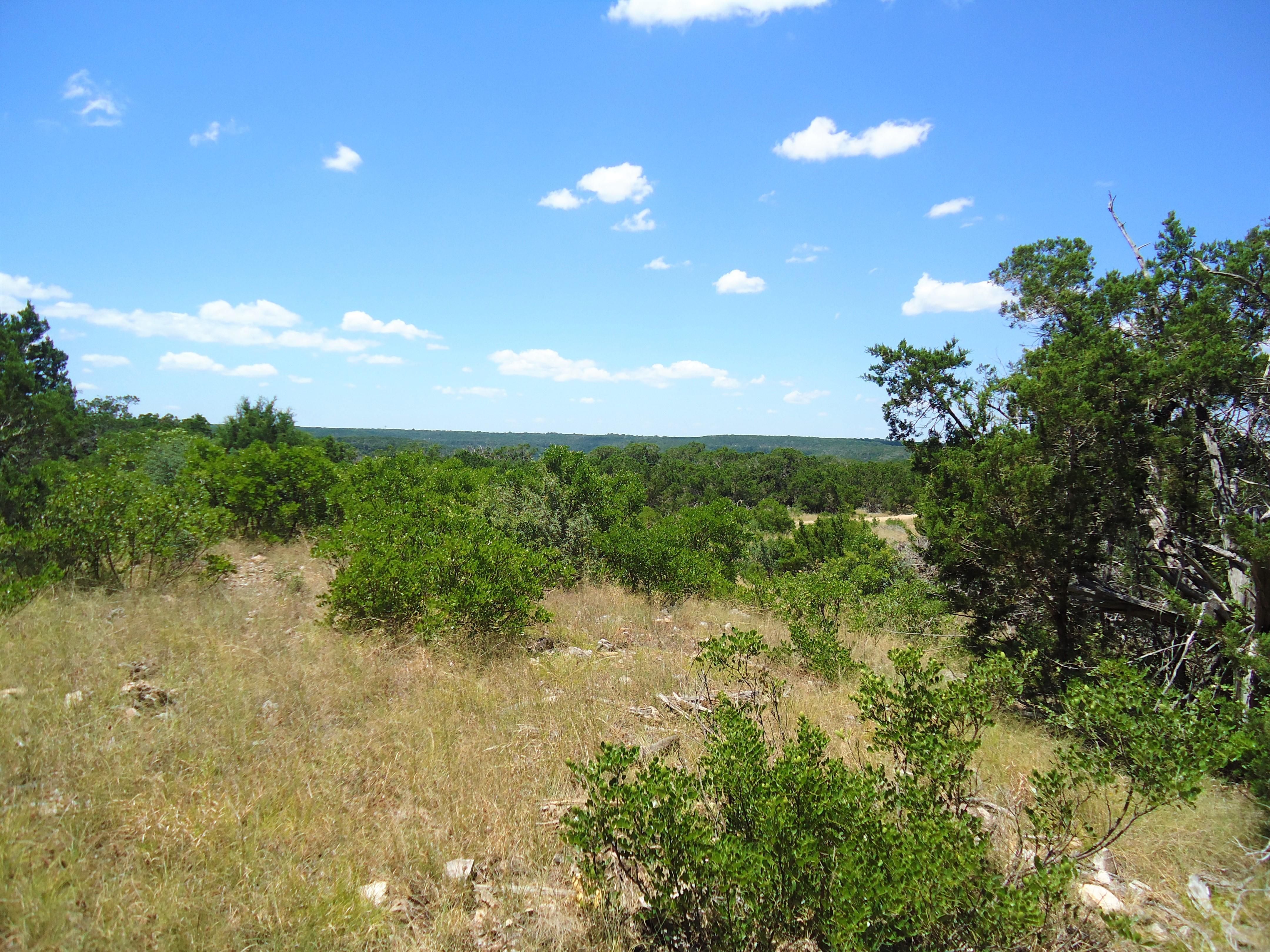 20 acres in Real County, Texas