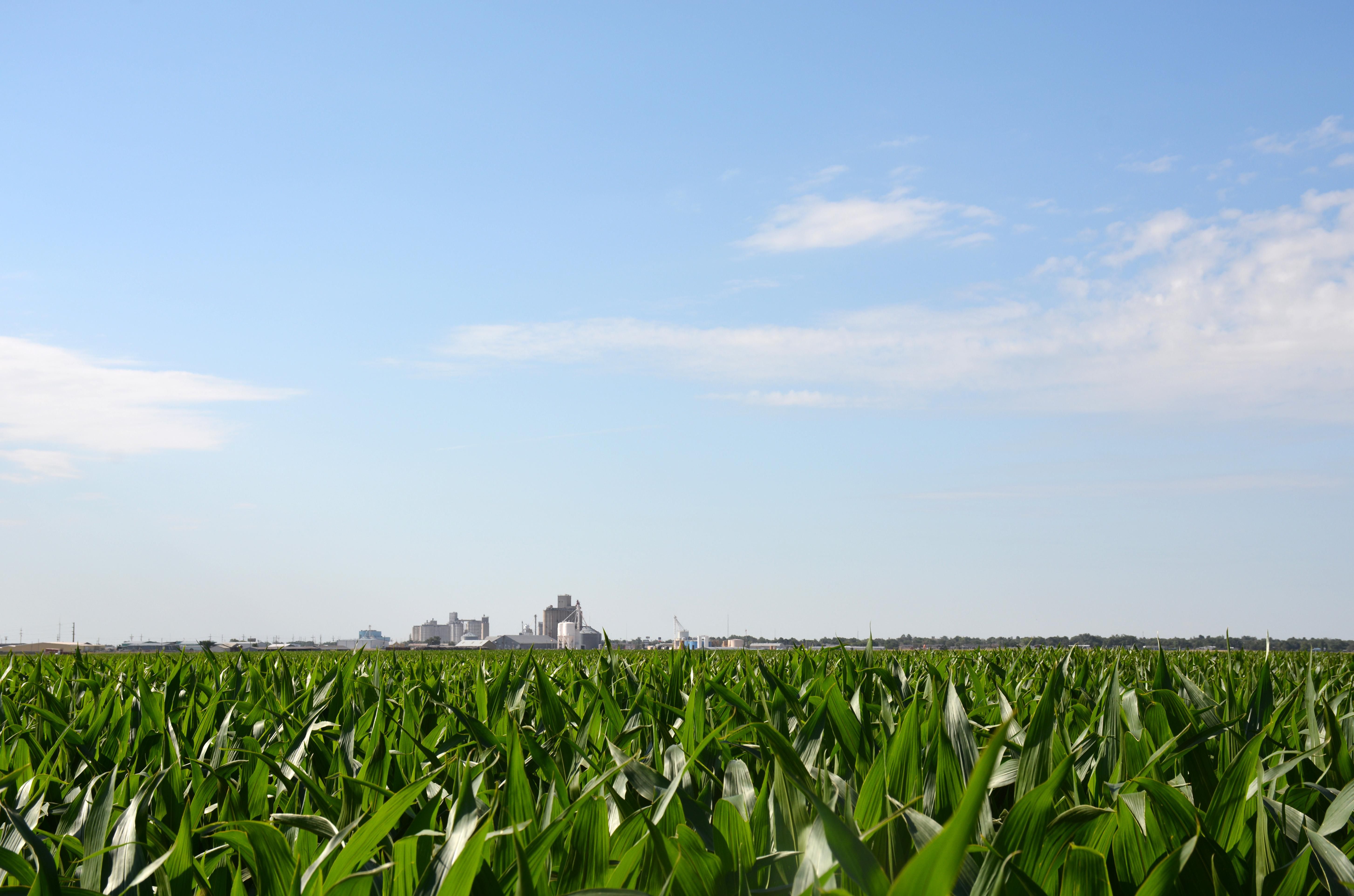640 acres in Castro County, Texas