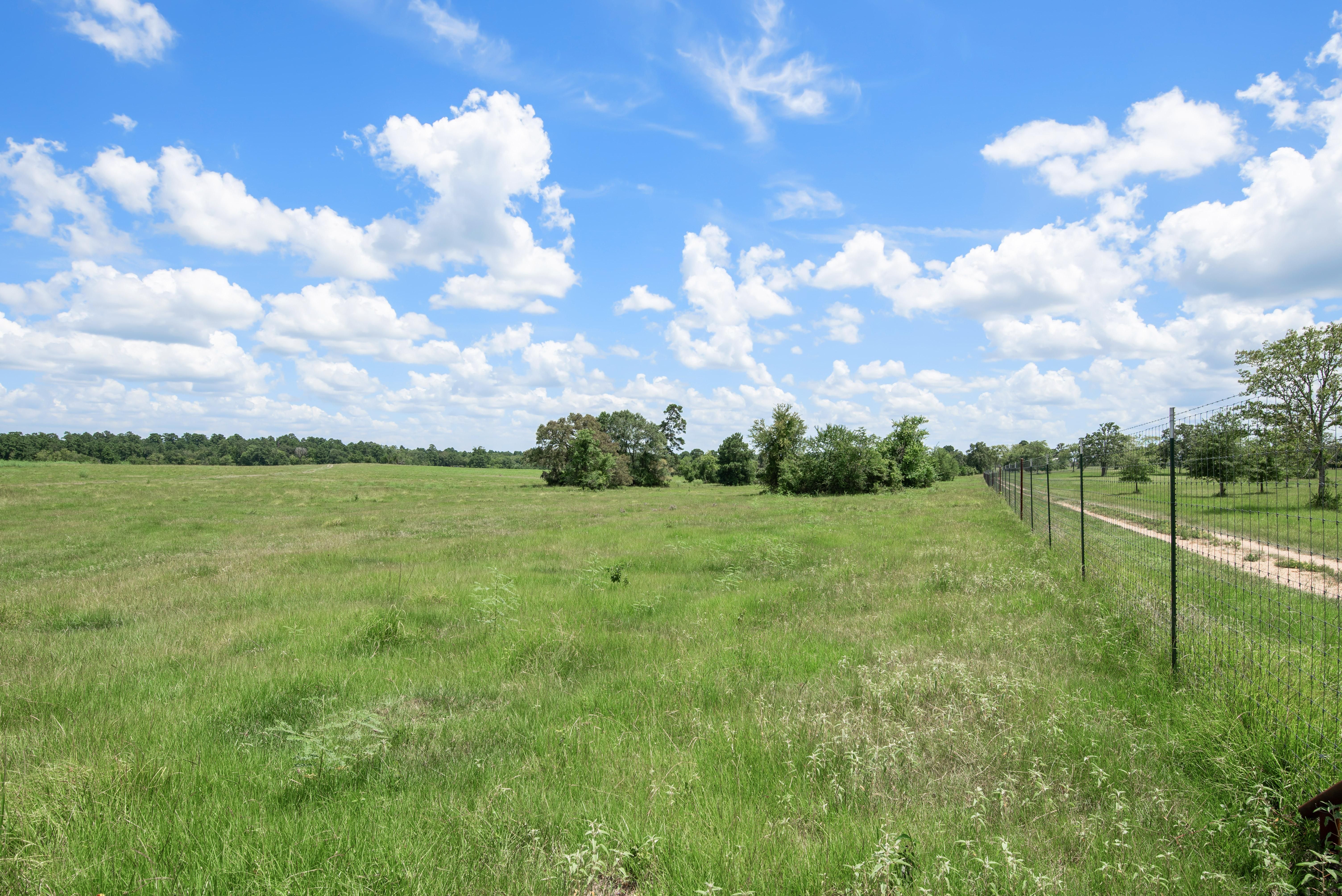 180 acres in Grimes County, Texas