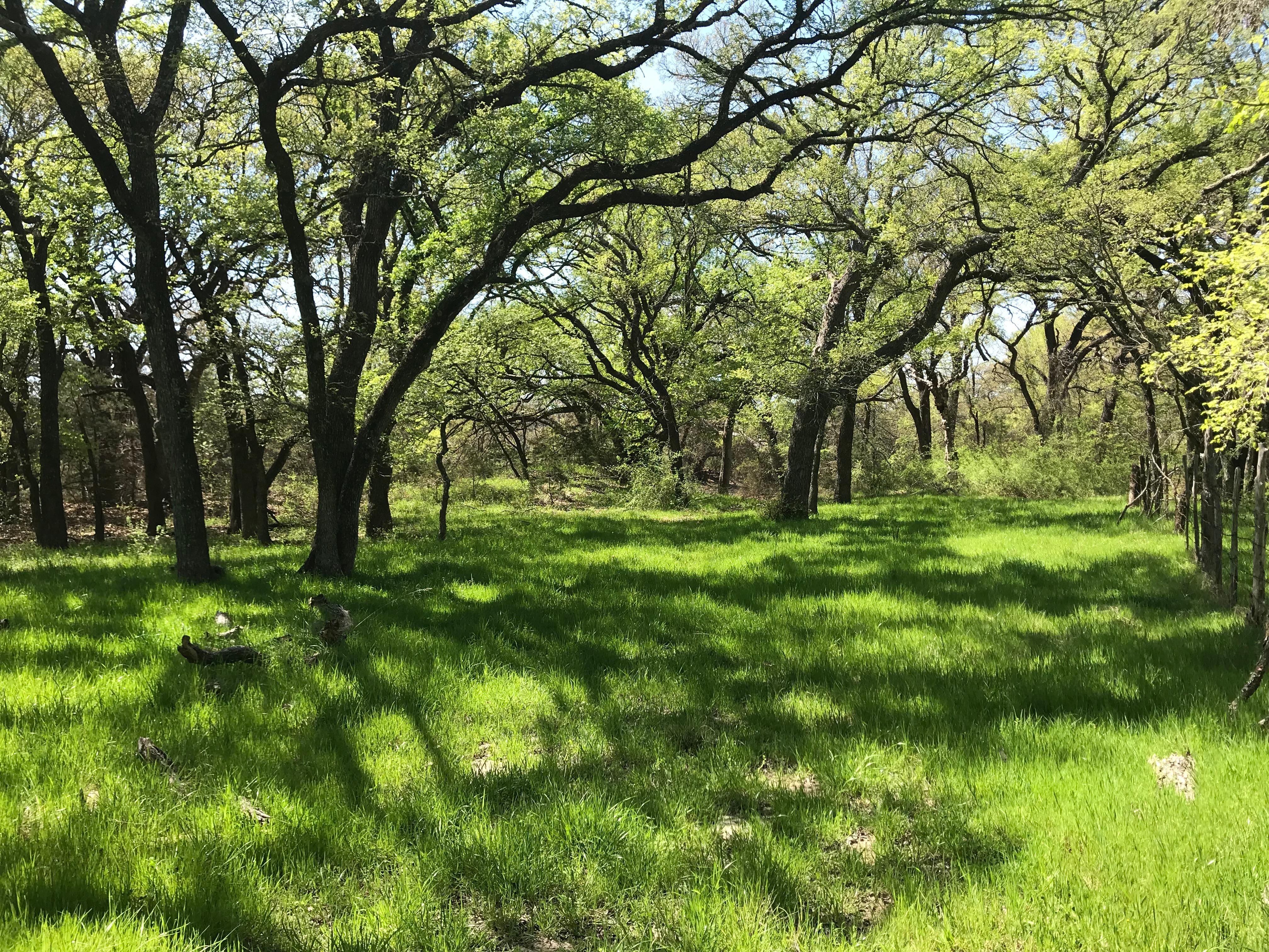 44.82 acres in Bosque County, Texas