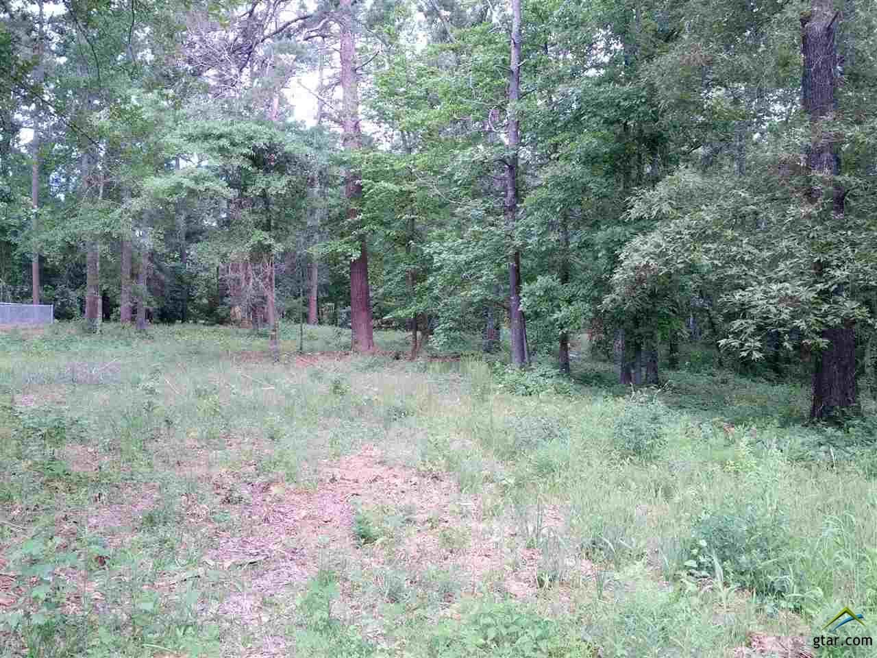 50 acres in Rusk County, Texas