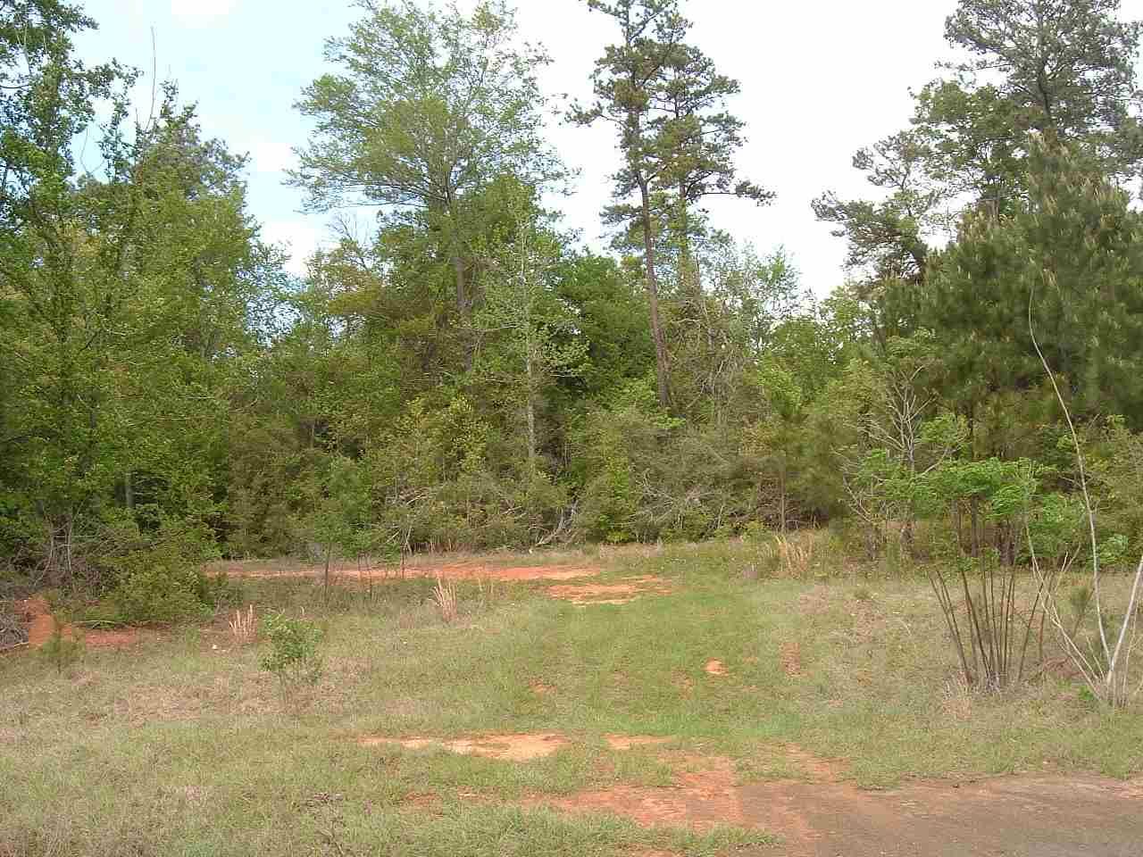 66.5 acres in Jasper County, Texas
