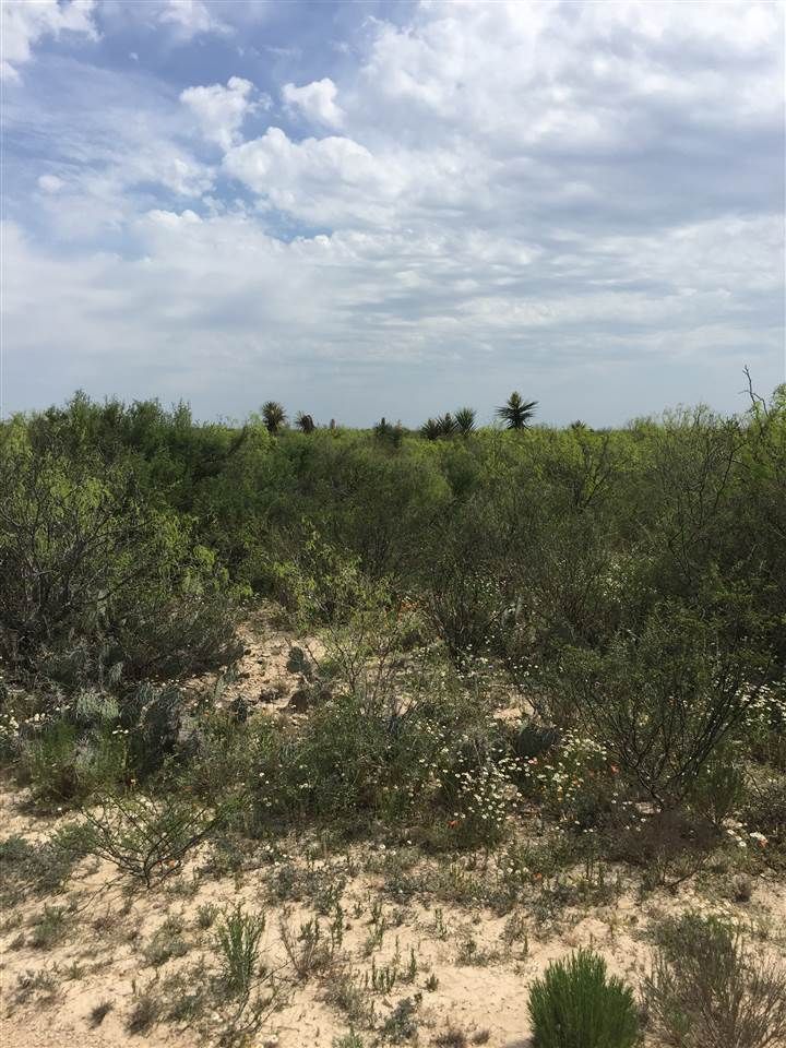100 acres in Val Verde County, Texas