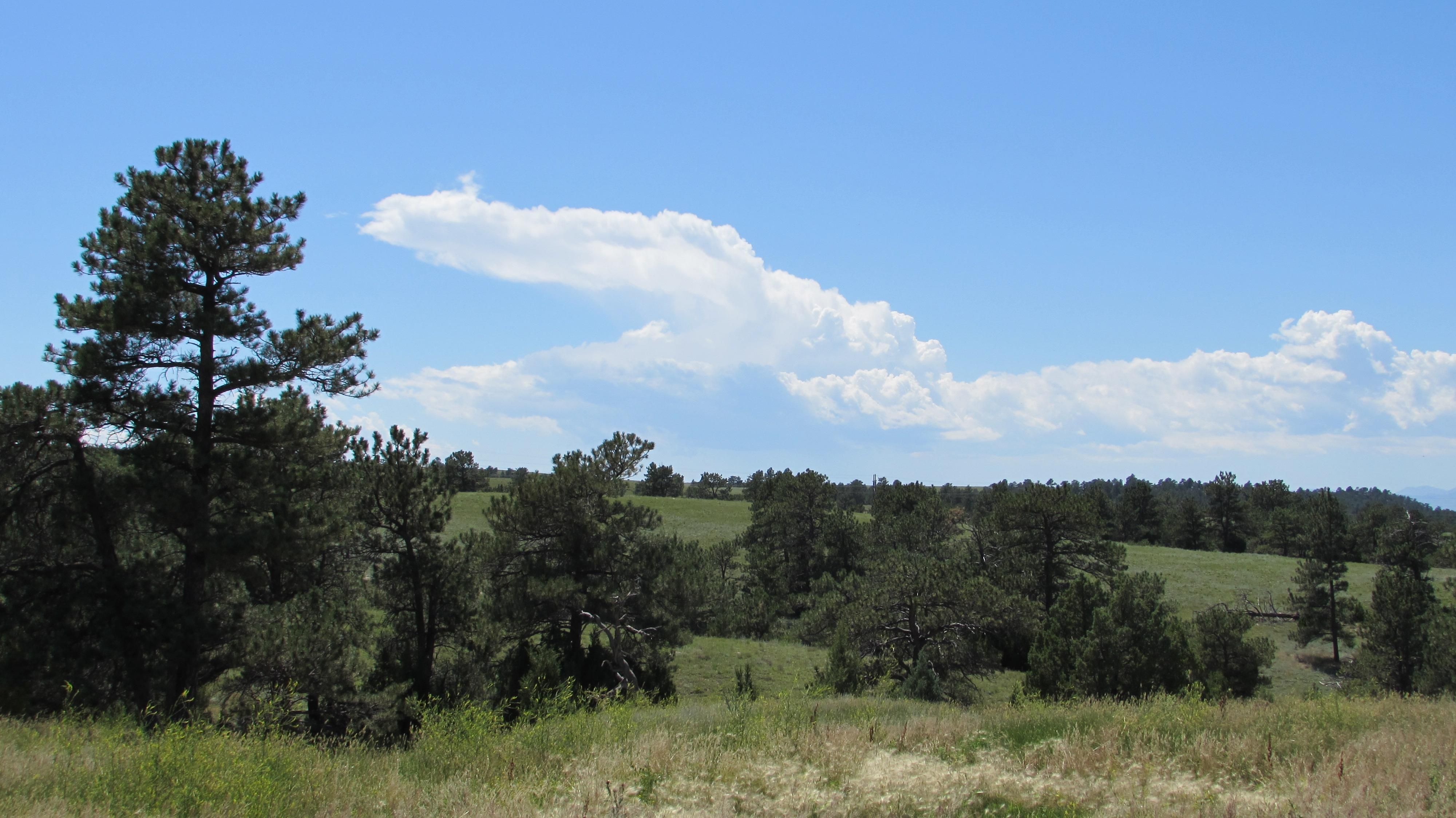 73.81 acres in Platte County, Wyoming