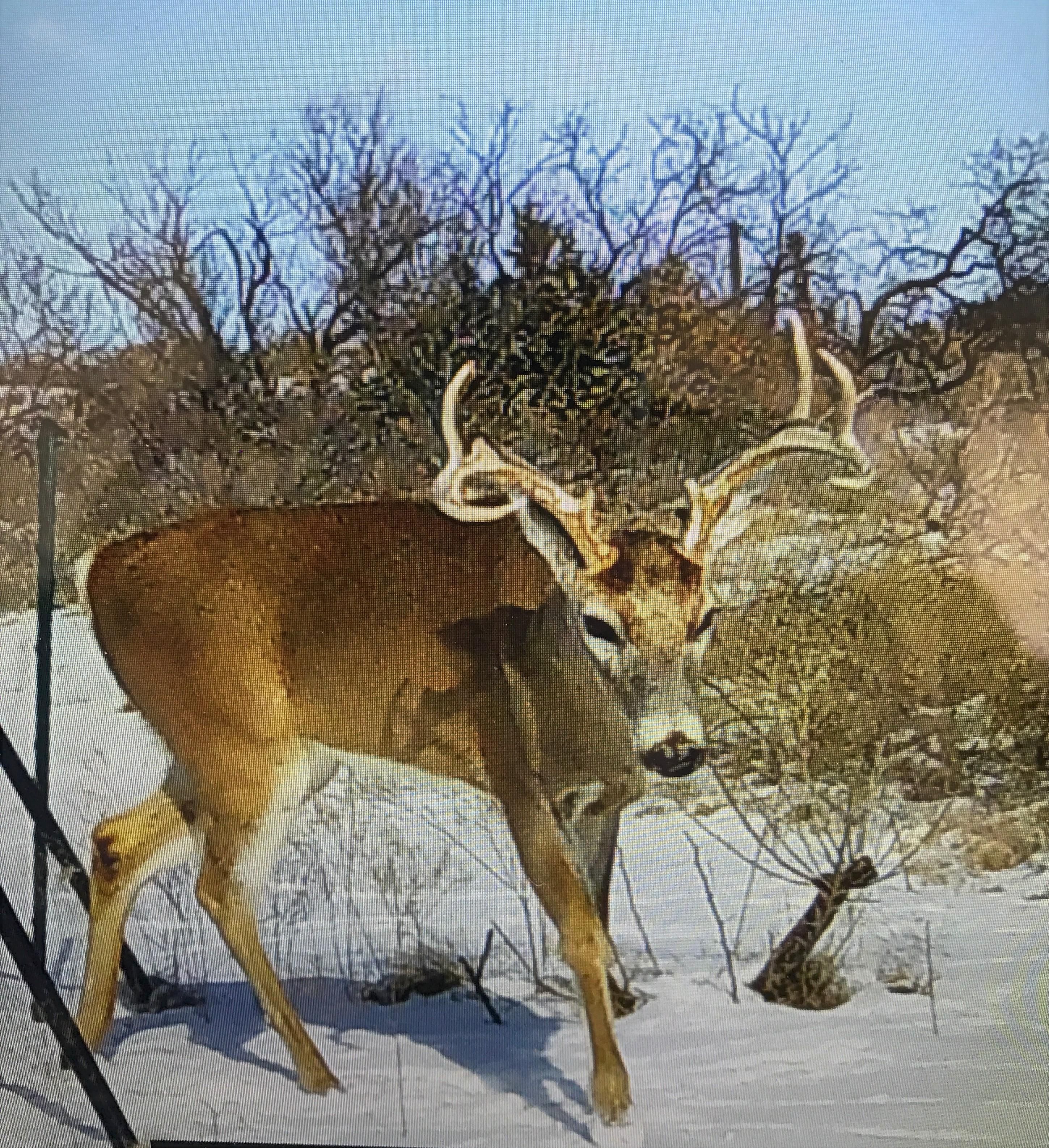 210 acres in Childress County, Texas